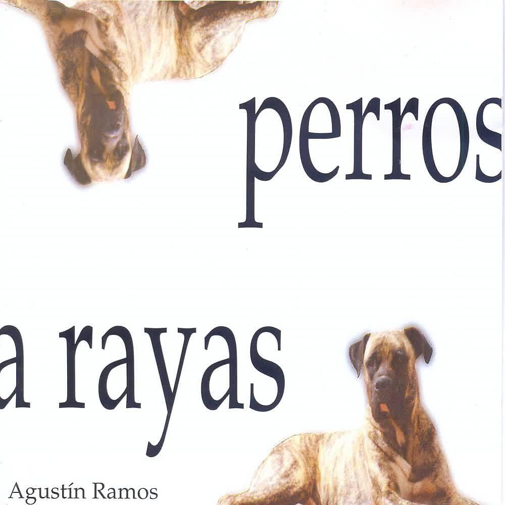 Постер альбома Perros a Rayas
