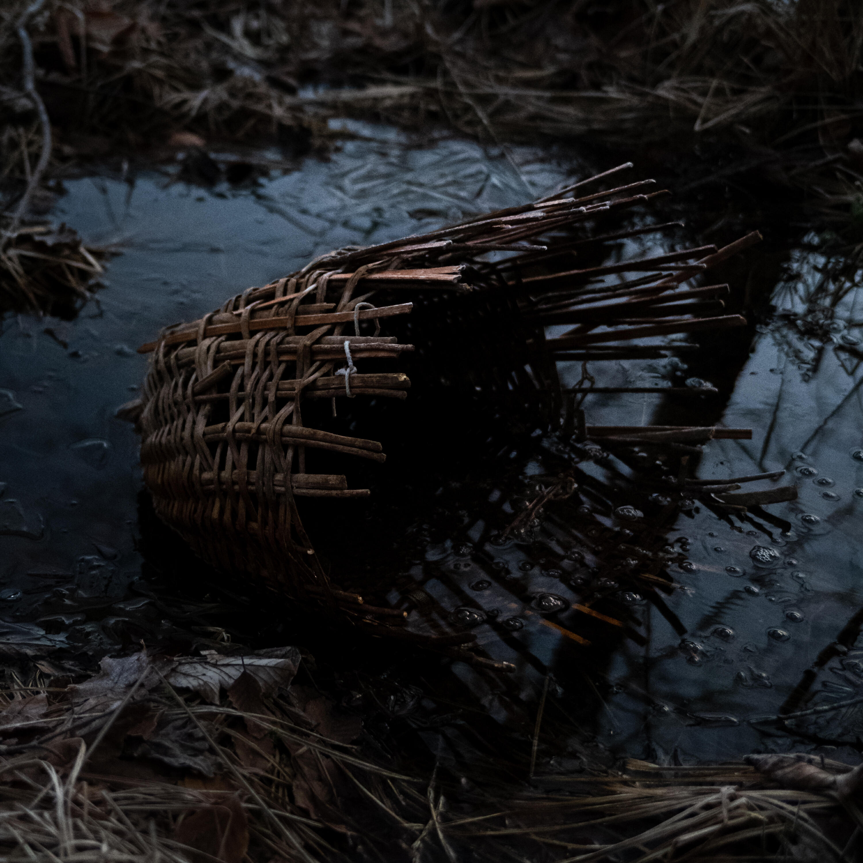 Релиз Surtùm