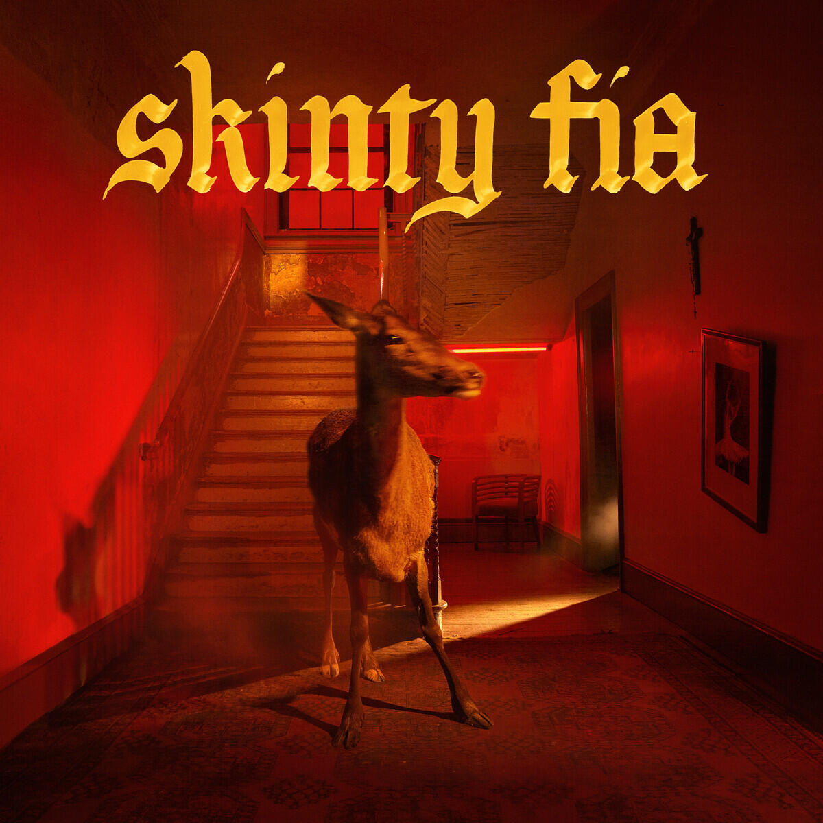 Релиз Skinty Fia