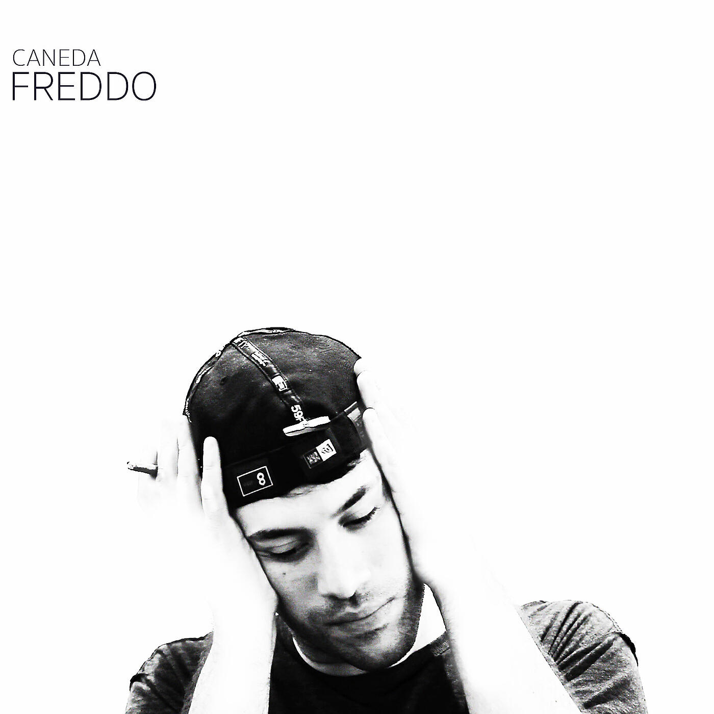 Релиз Freddo