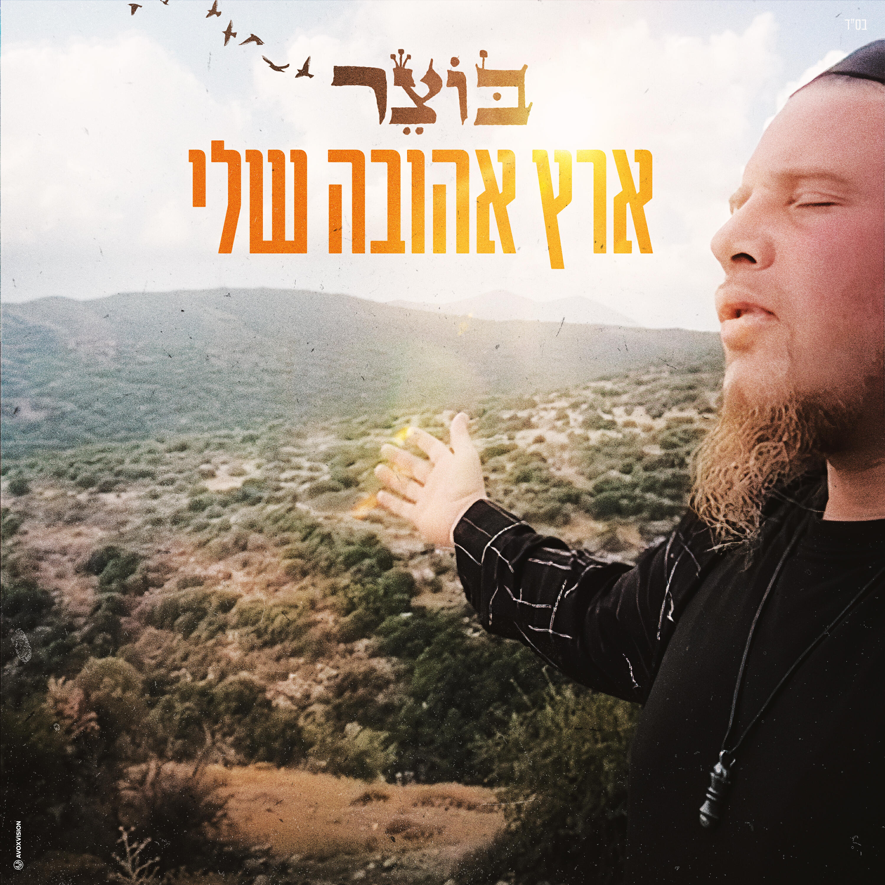 Релиз ארץ אהובה שלי
