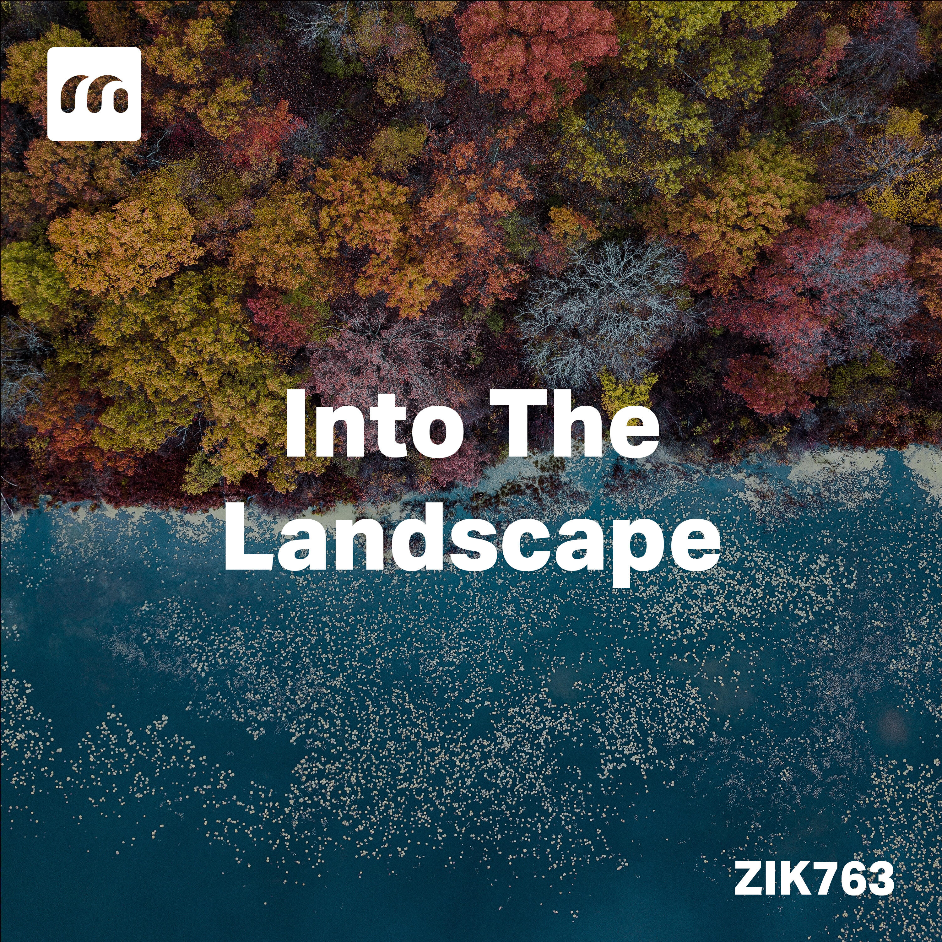 Релиз Into The Landscape