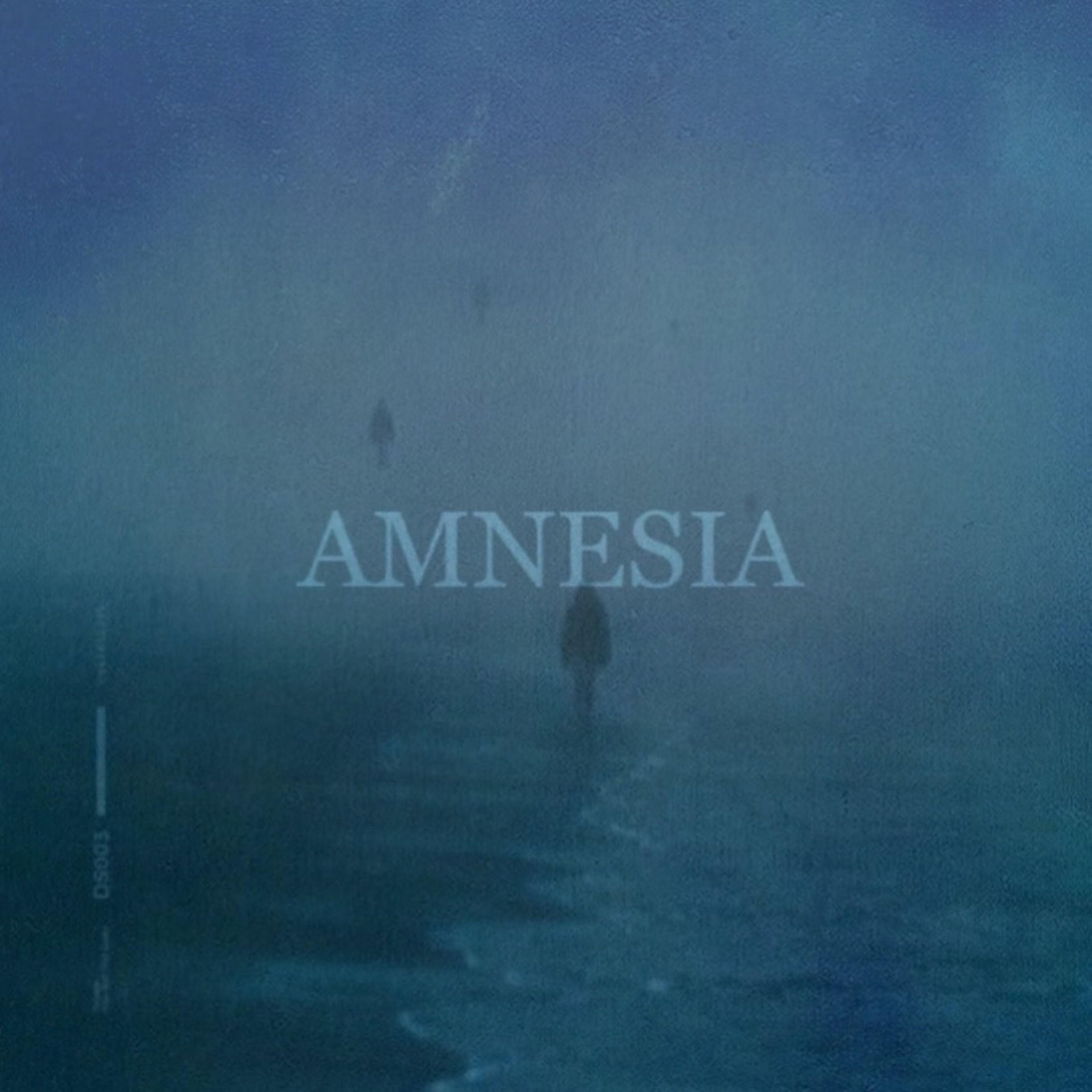Релиз AMNESIA