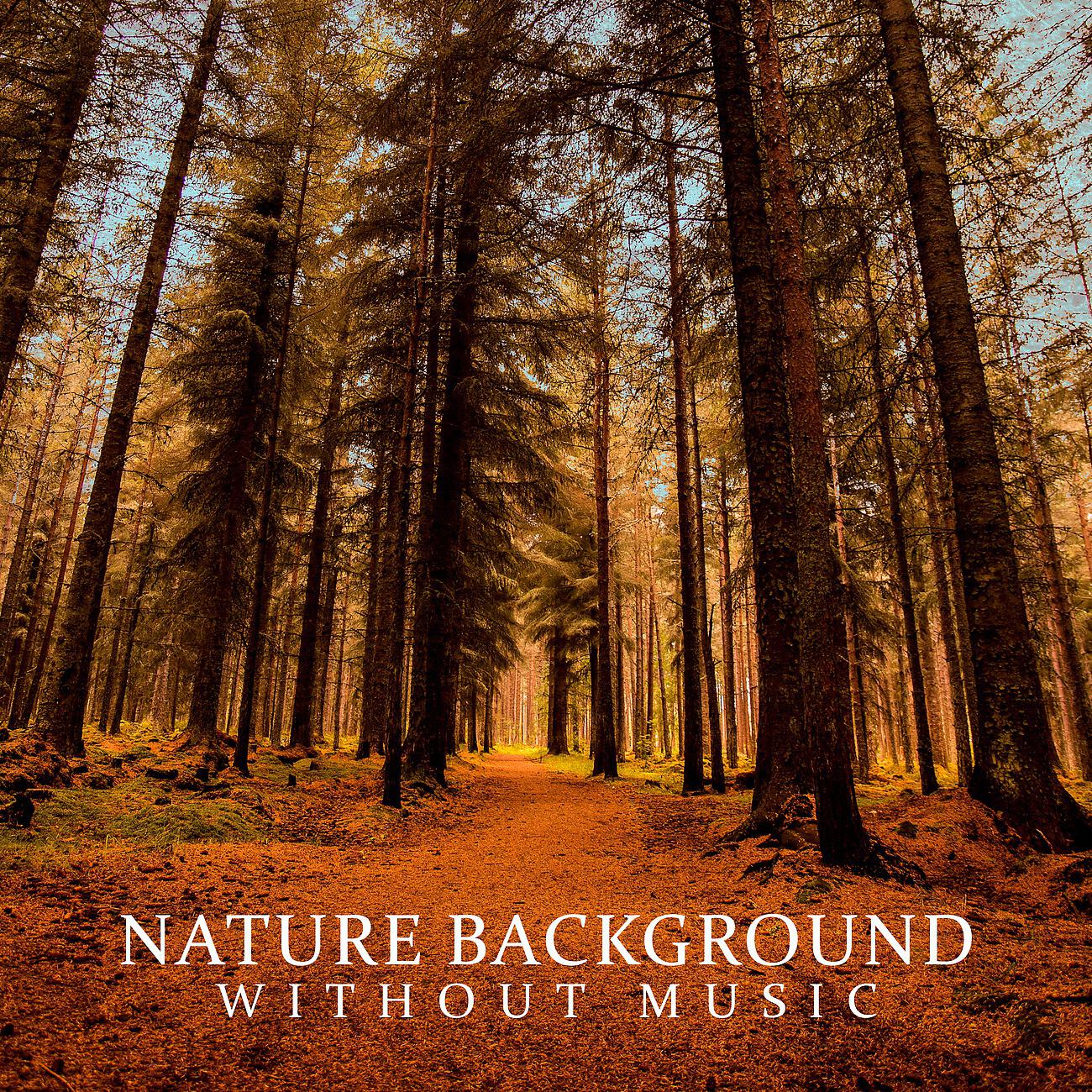 Релиз Nature Background Without Music
