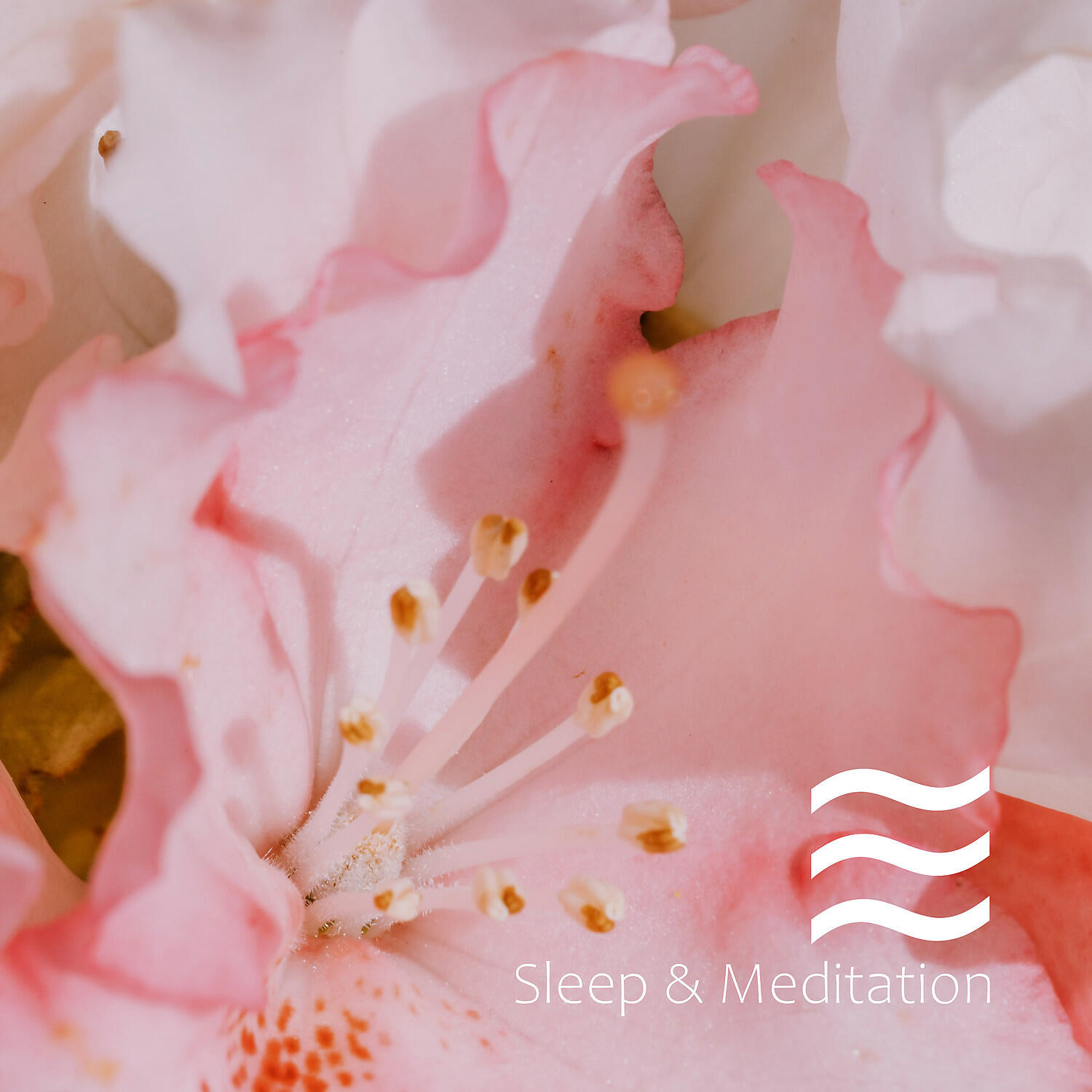 Релиз Sweet Dreams and Sleep Good Baby