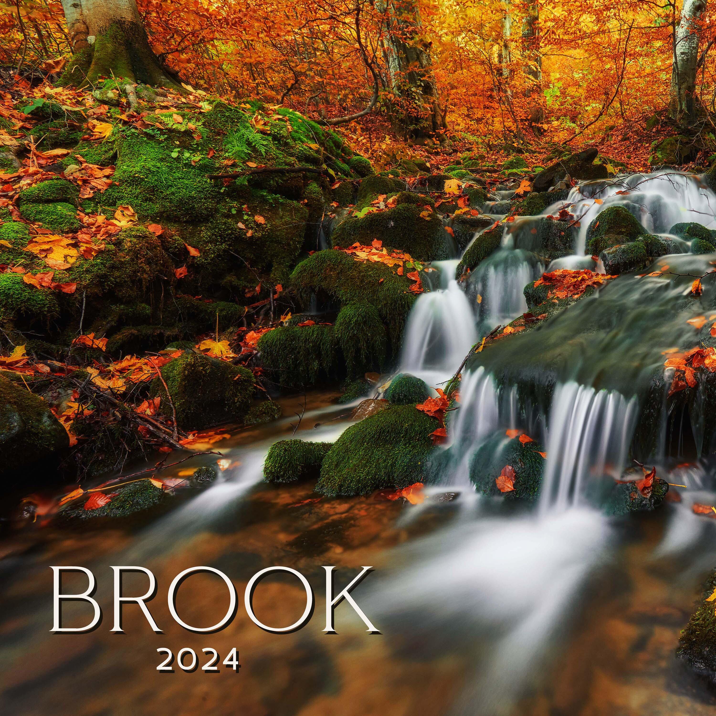 Релиз Brook 2024