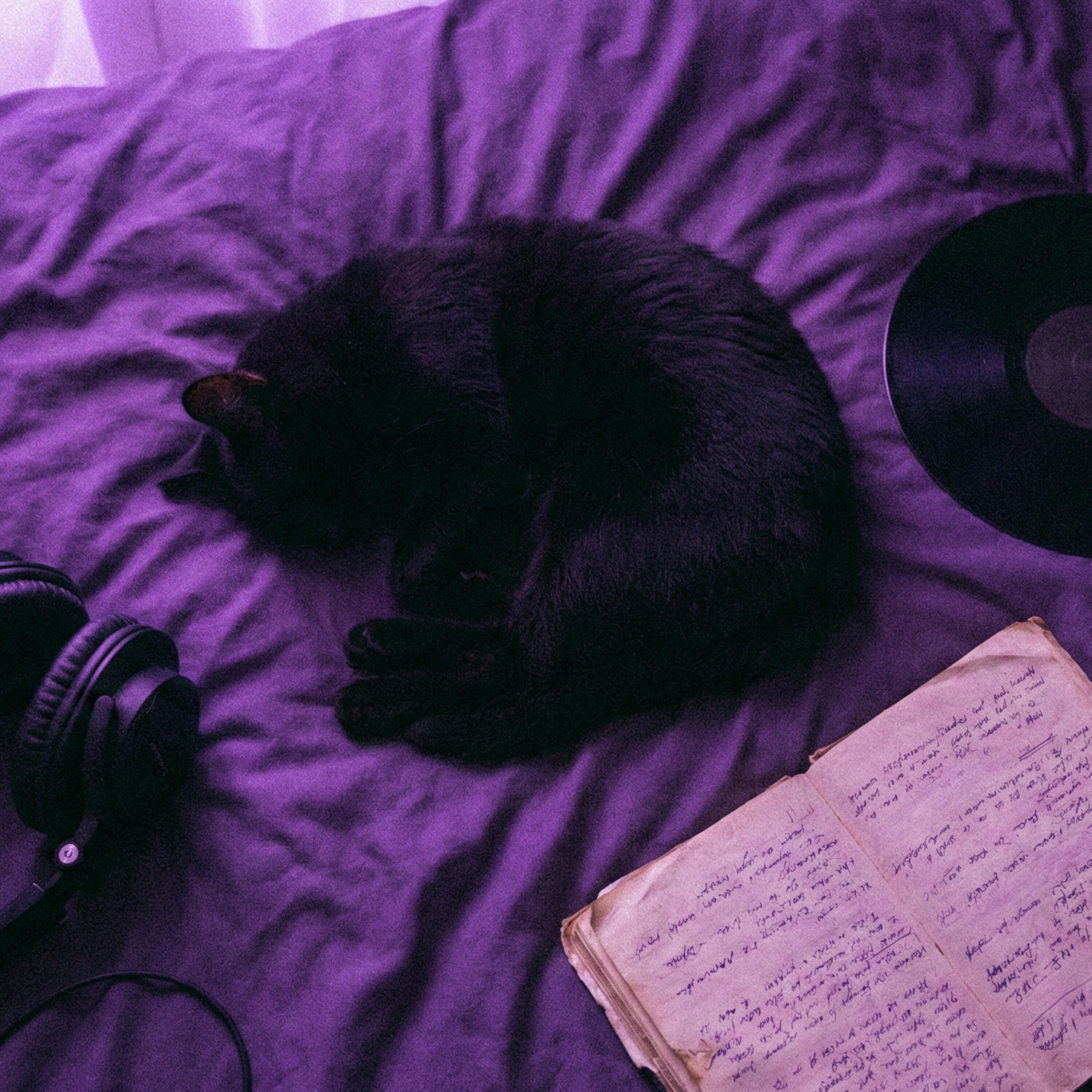 Релиз Quiet Hours