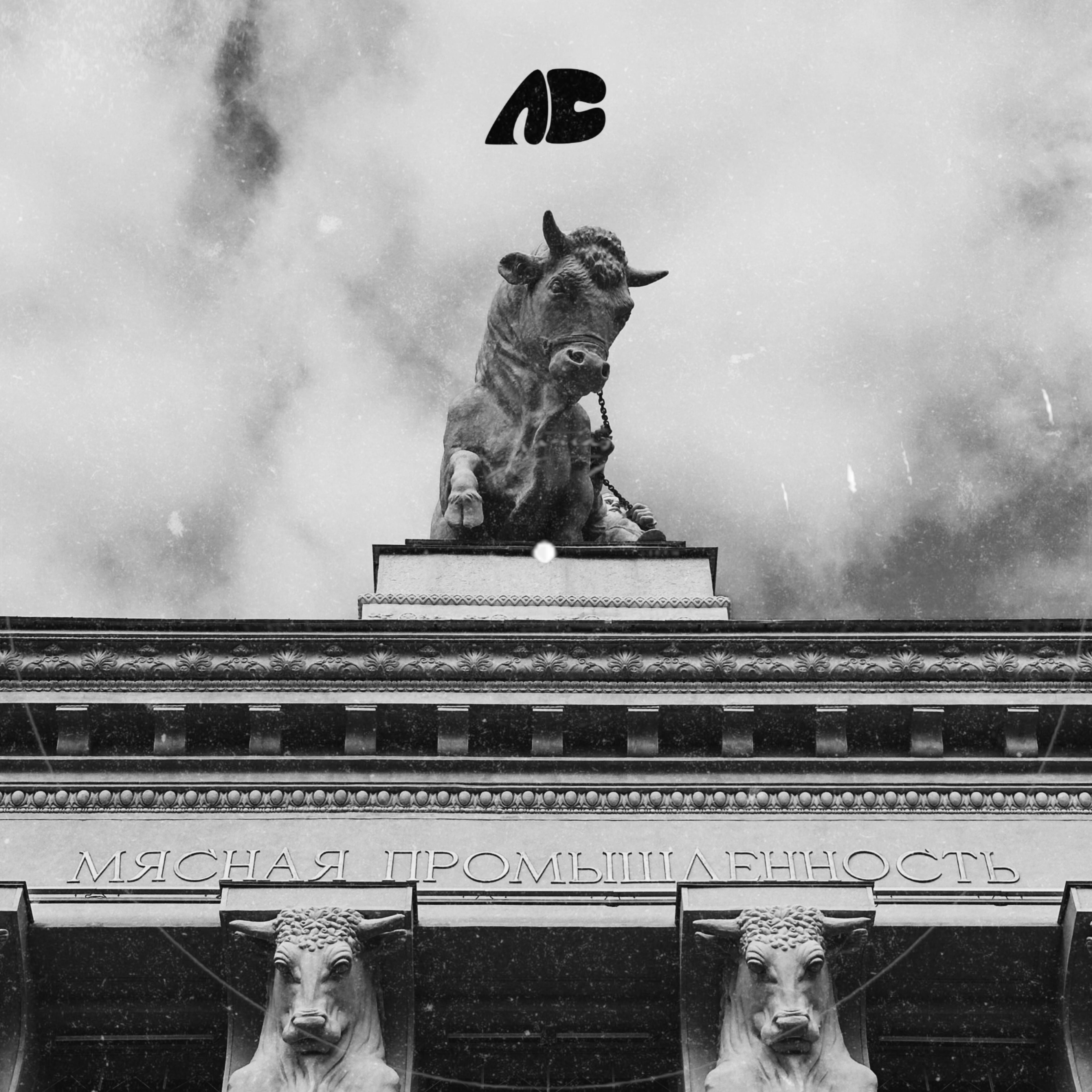 Релиз Carpe Diem