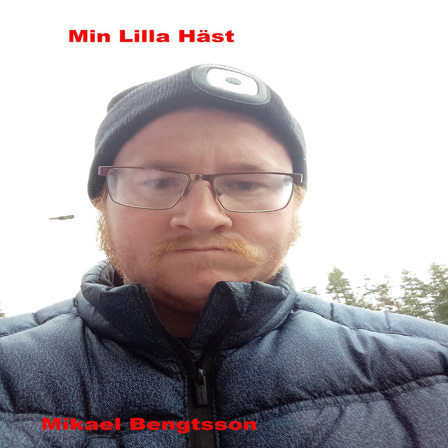 Релиз Min Lilla Häst