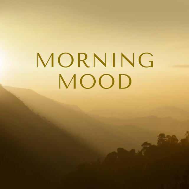 Постер альбома Morning Mood - Chopin