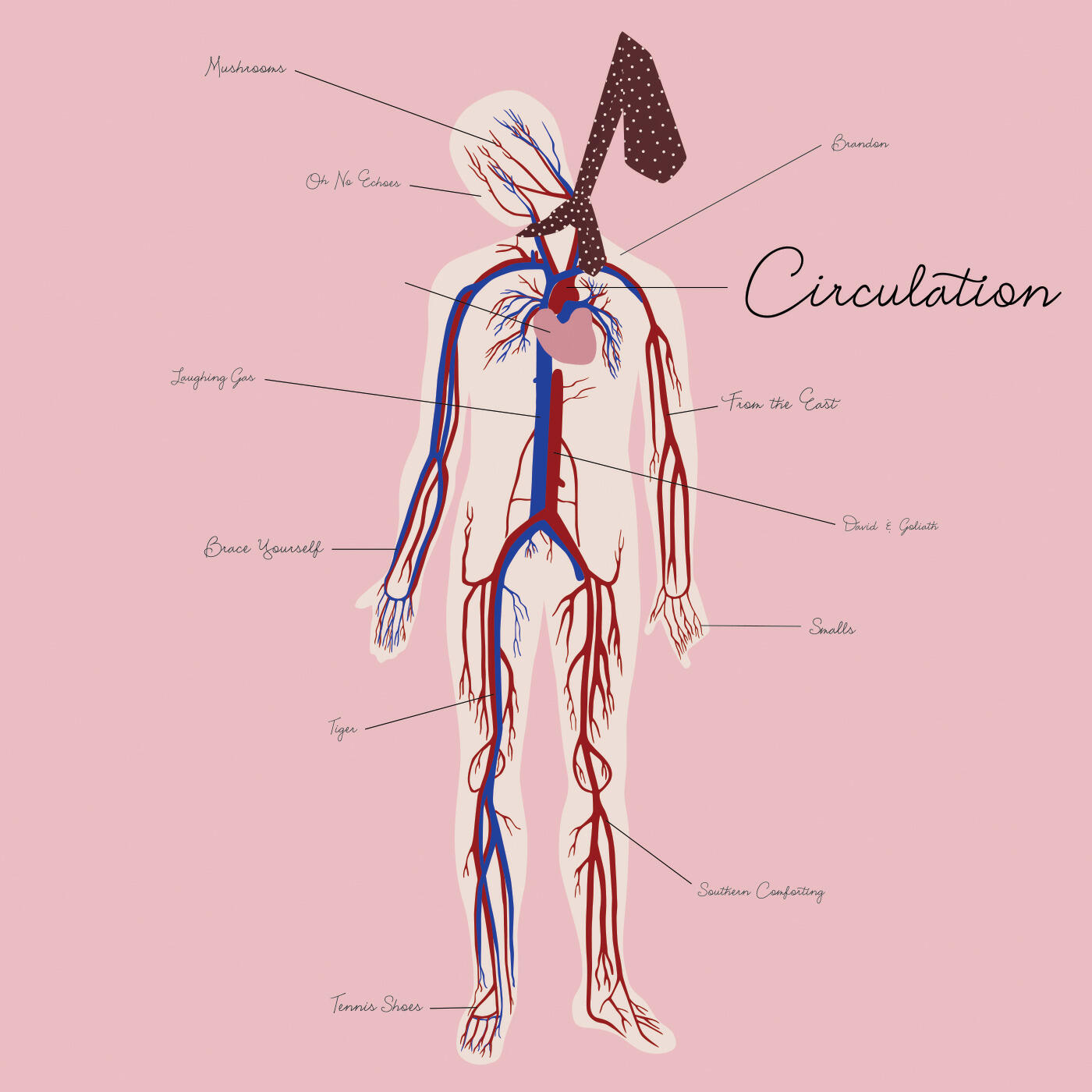 Релиз Circulation