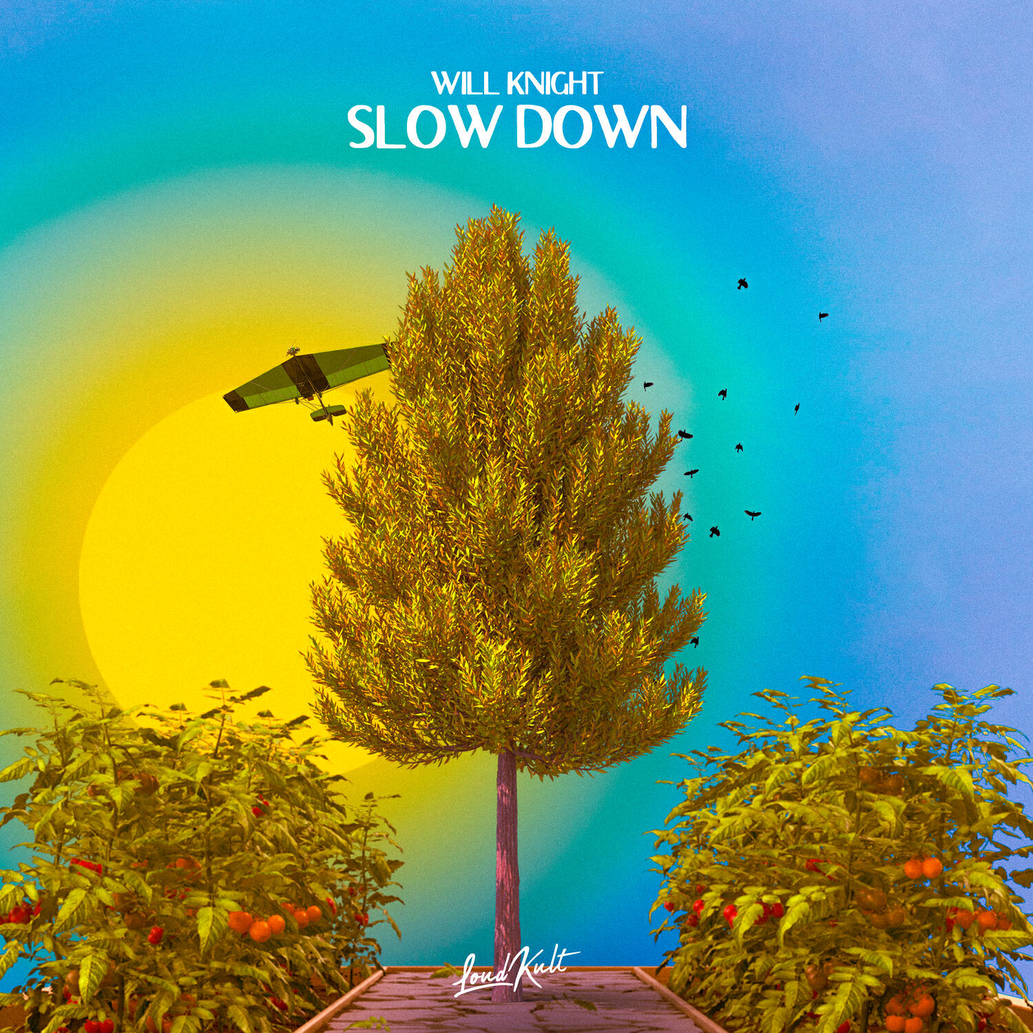 Релиз Slow Down