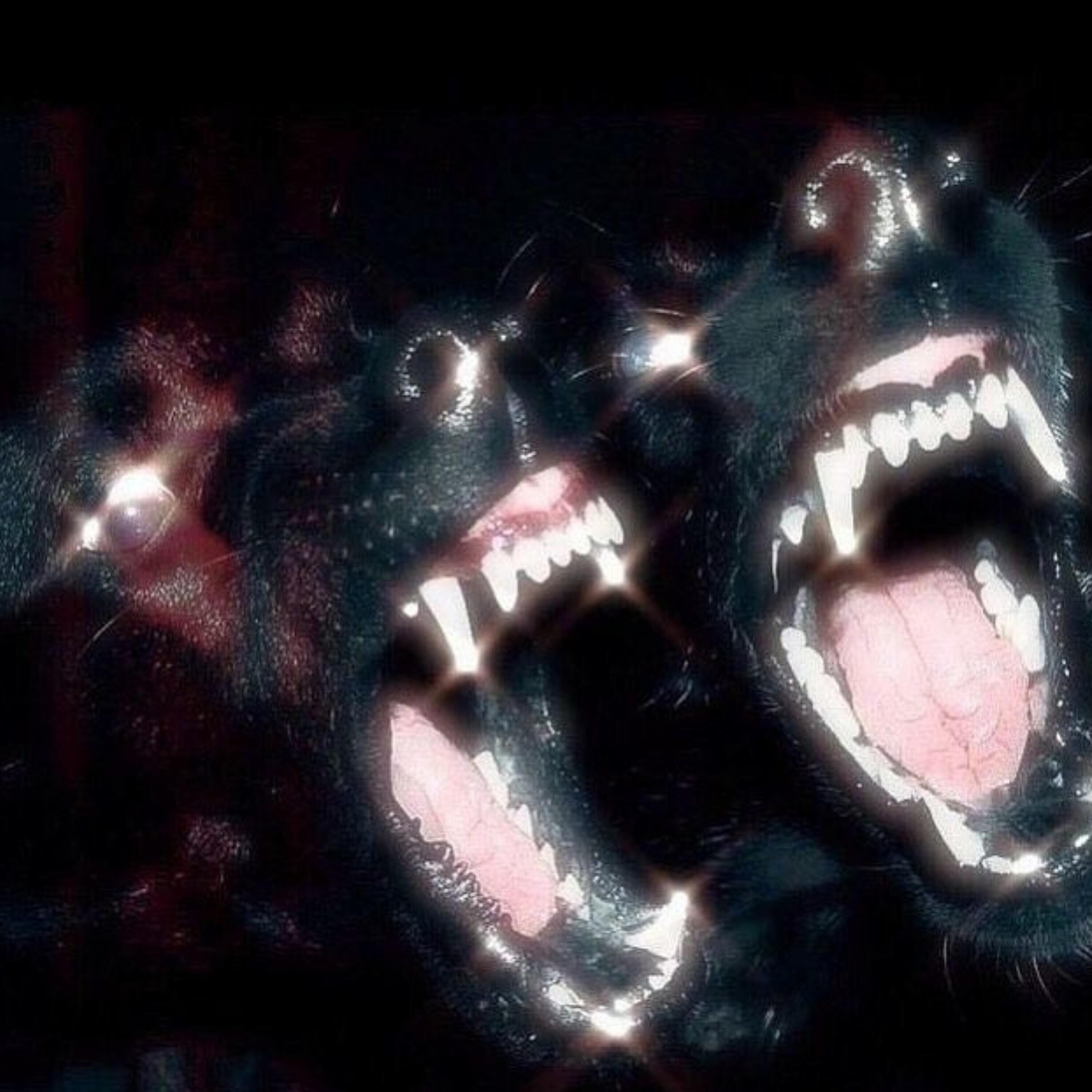 inummakii