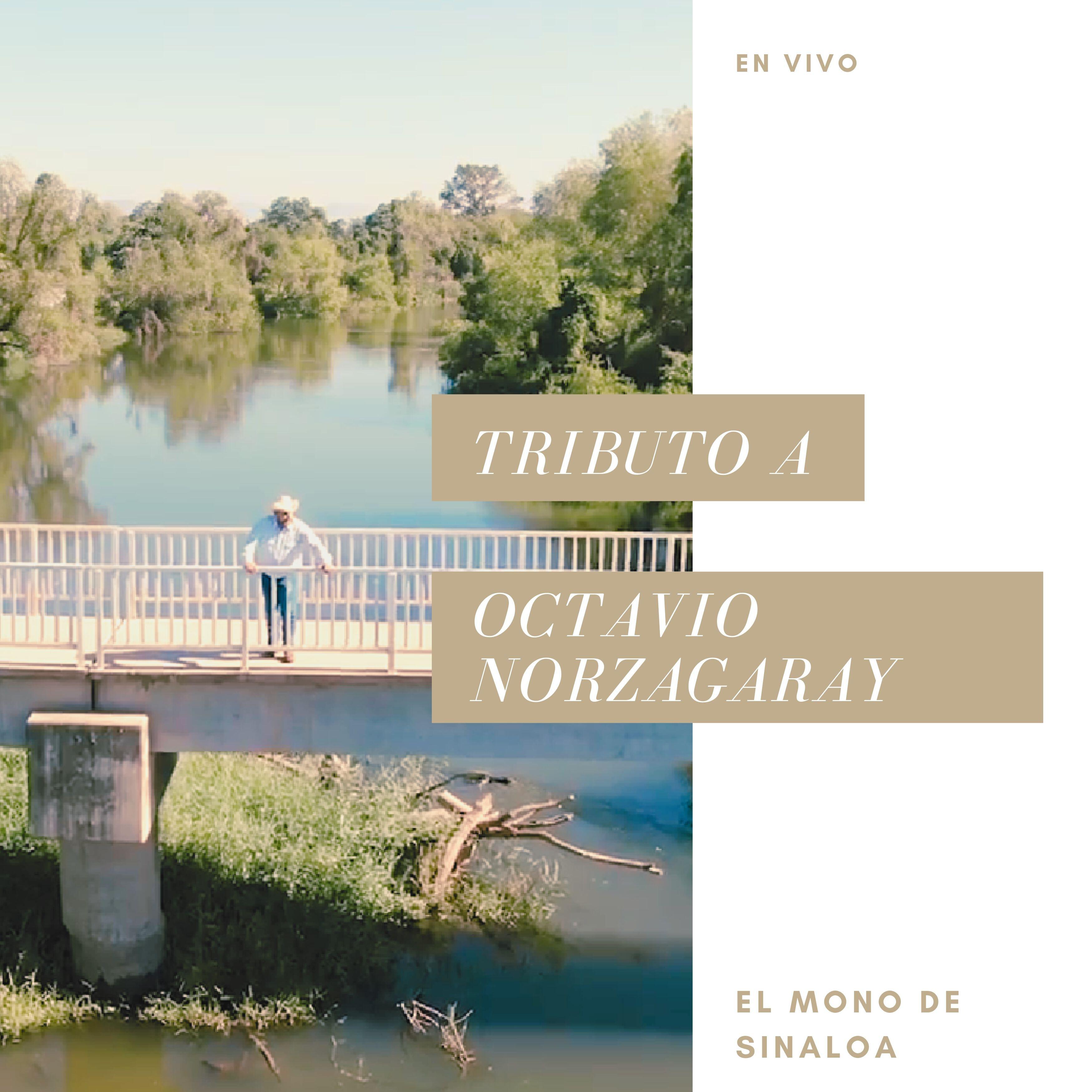 Релиз Homenaje A Octavio Norzagaray