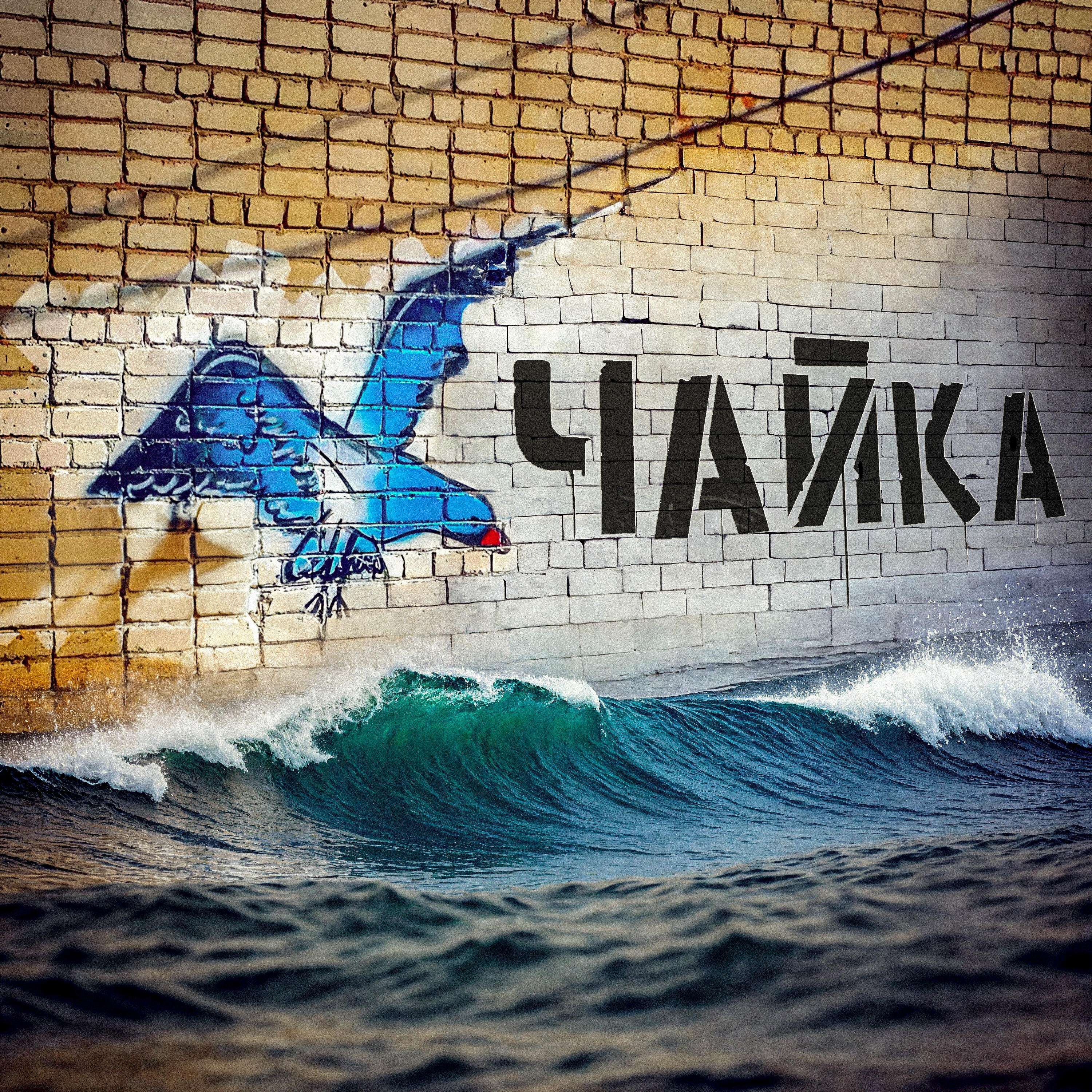 Релиз Чайка