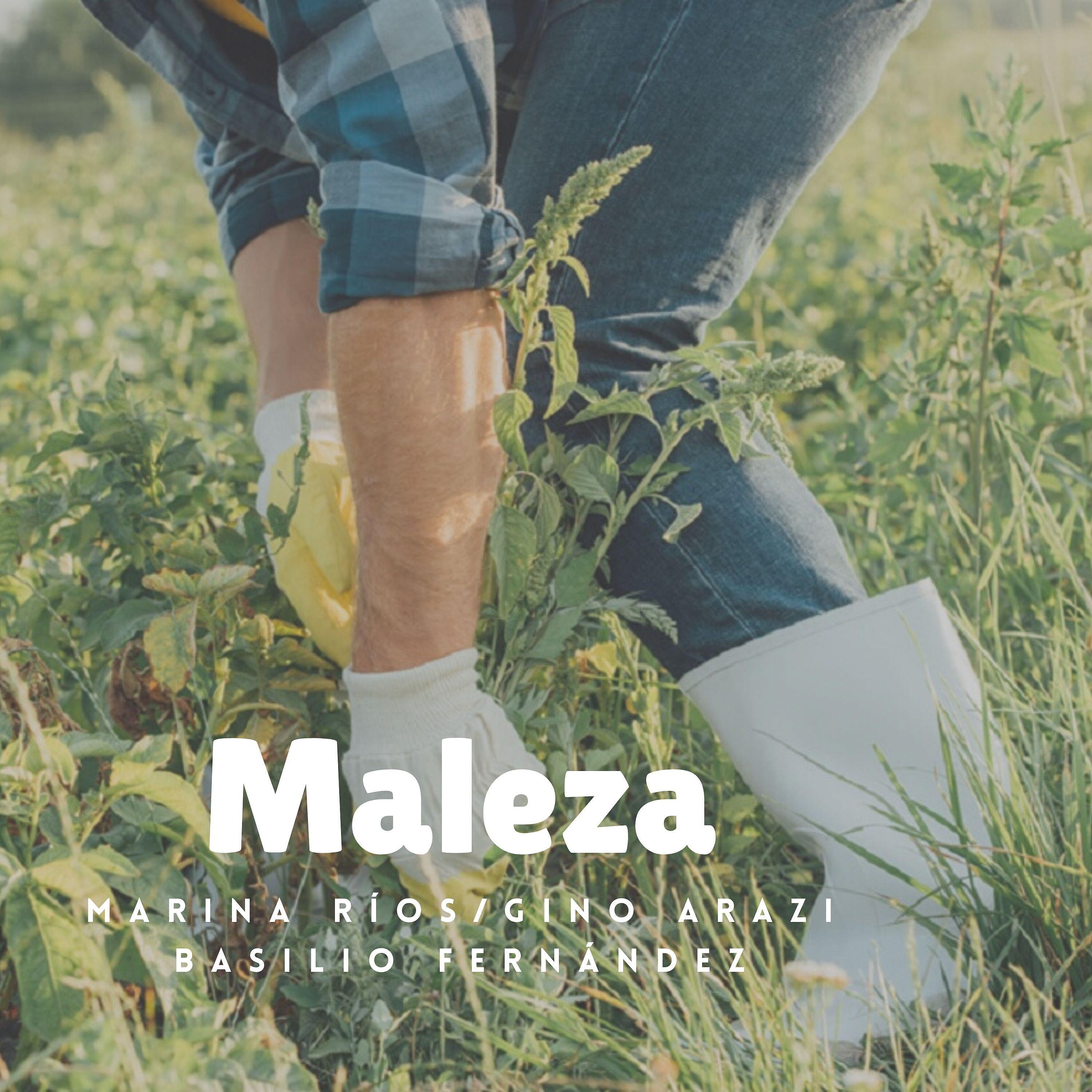 Релиз Maleza