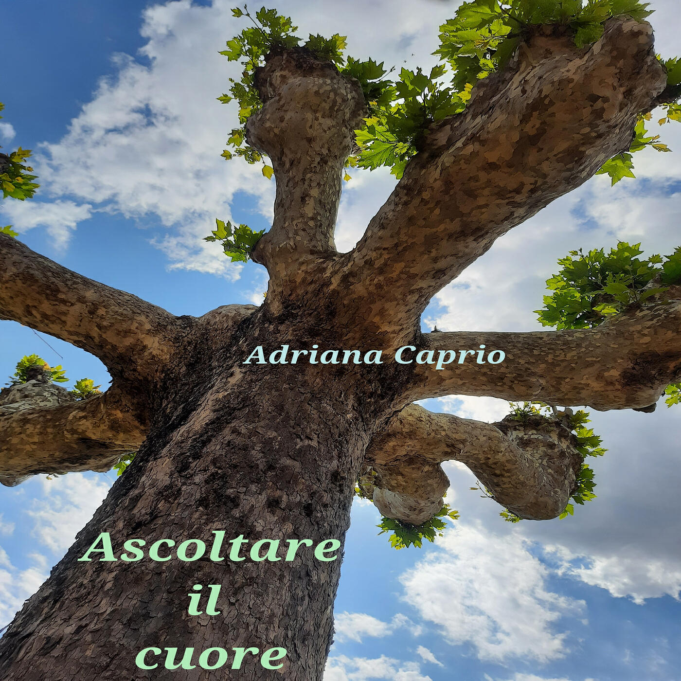 Релиз Ascoltare il cuore
