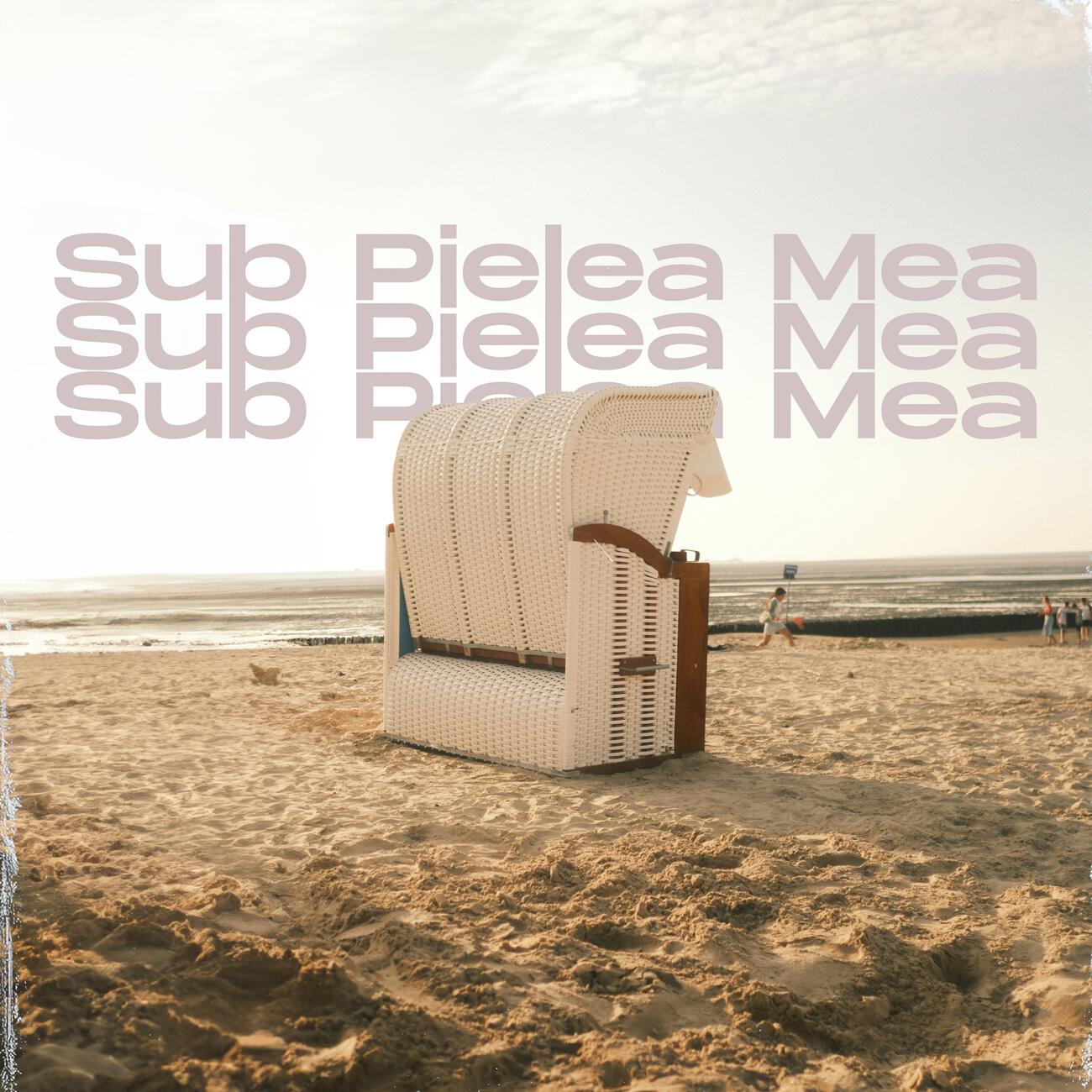 Релиз Sub Pielea Mea (Instrumental)