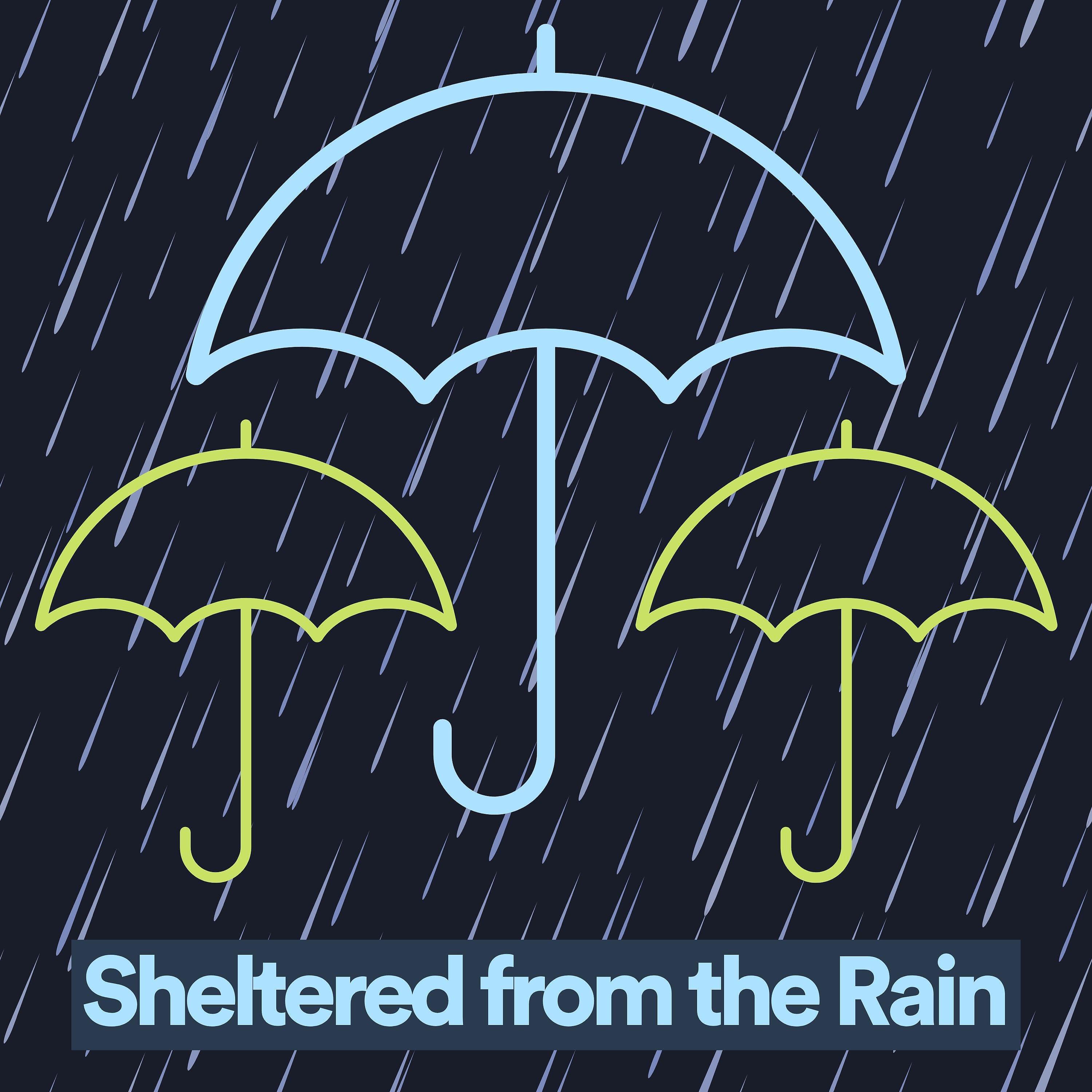 Релиз Sheltered from the Rain