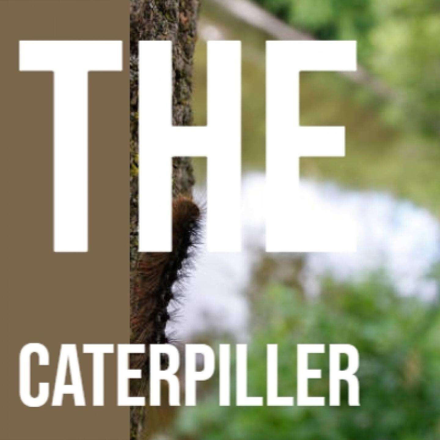 Релиз The Caterpiller