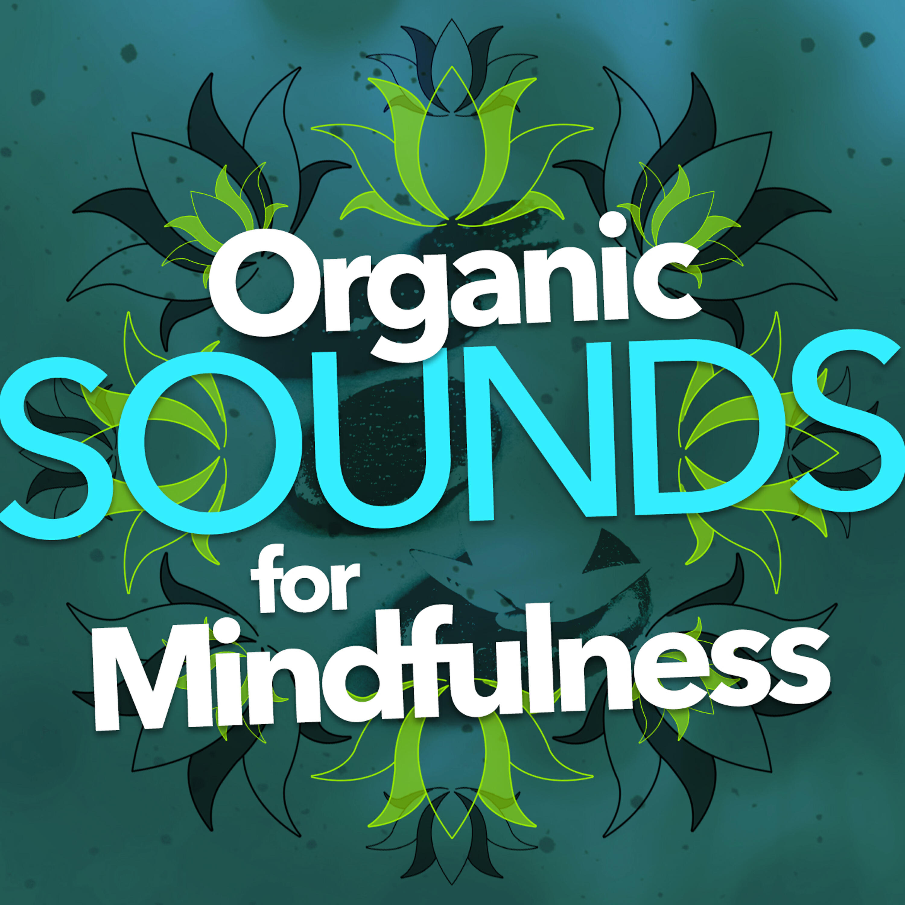 Релиз Organic Sounds for Mindfulness