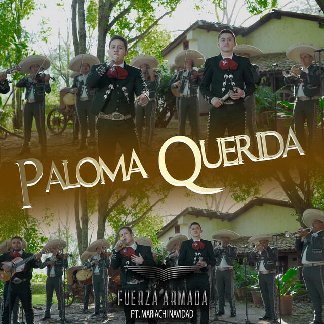 Релиз Paloma Querida