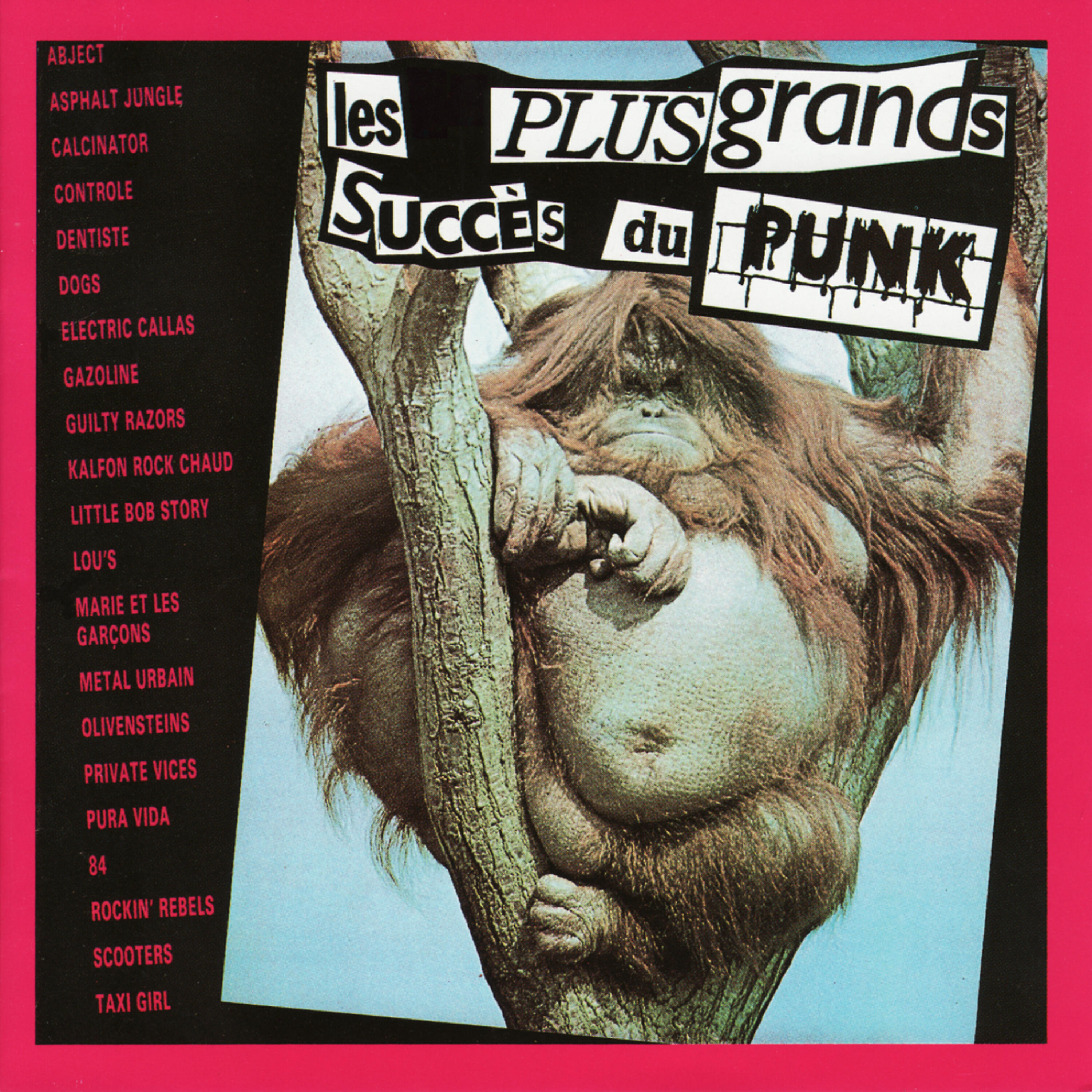 Релиз Les Plus Grands Succes du Punk
