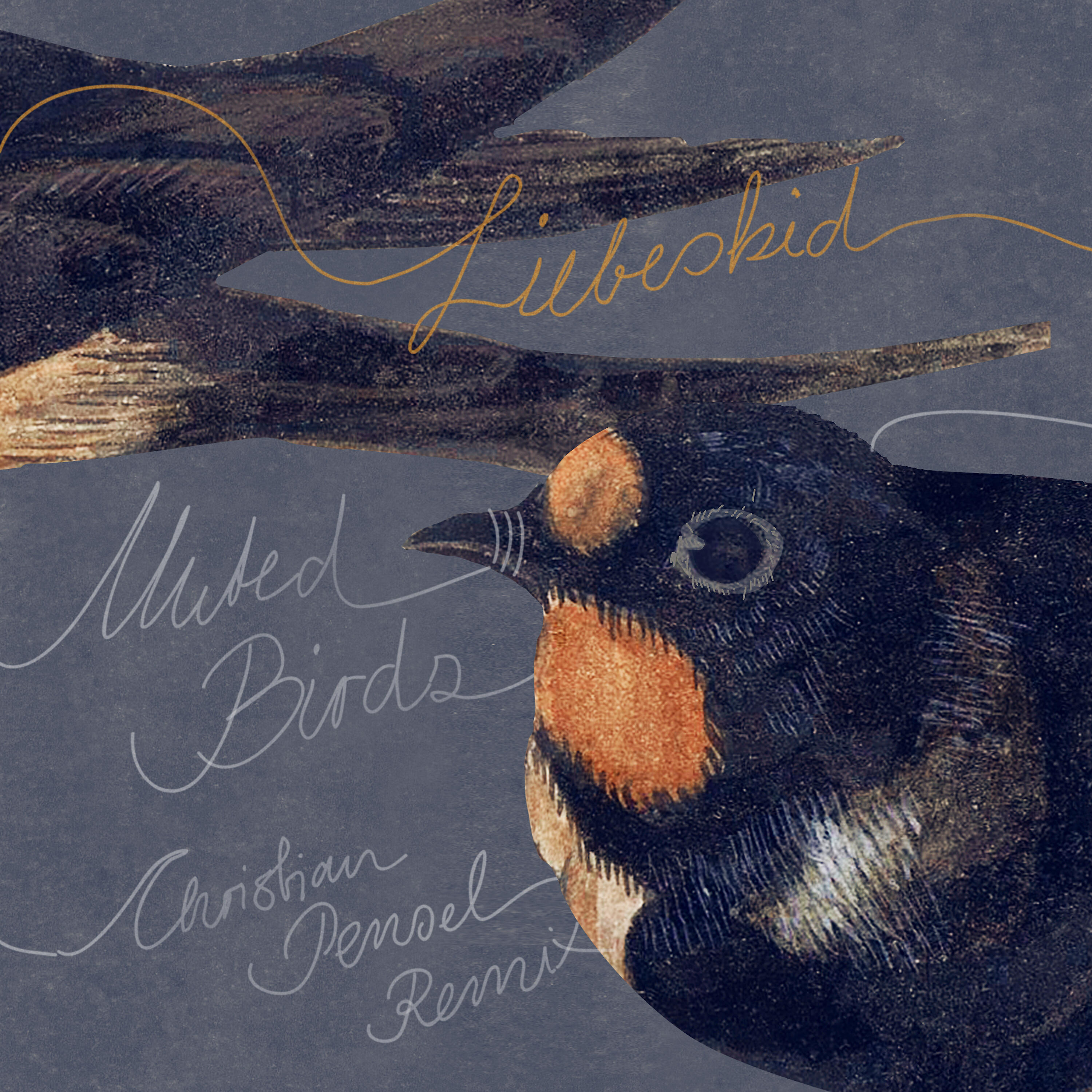 Релиз Muted Birds (Christian Pensel Remix)