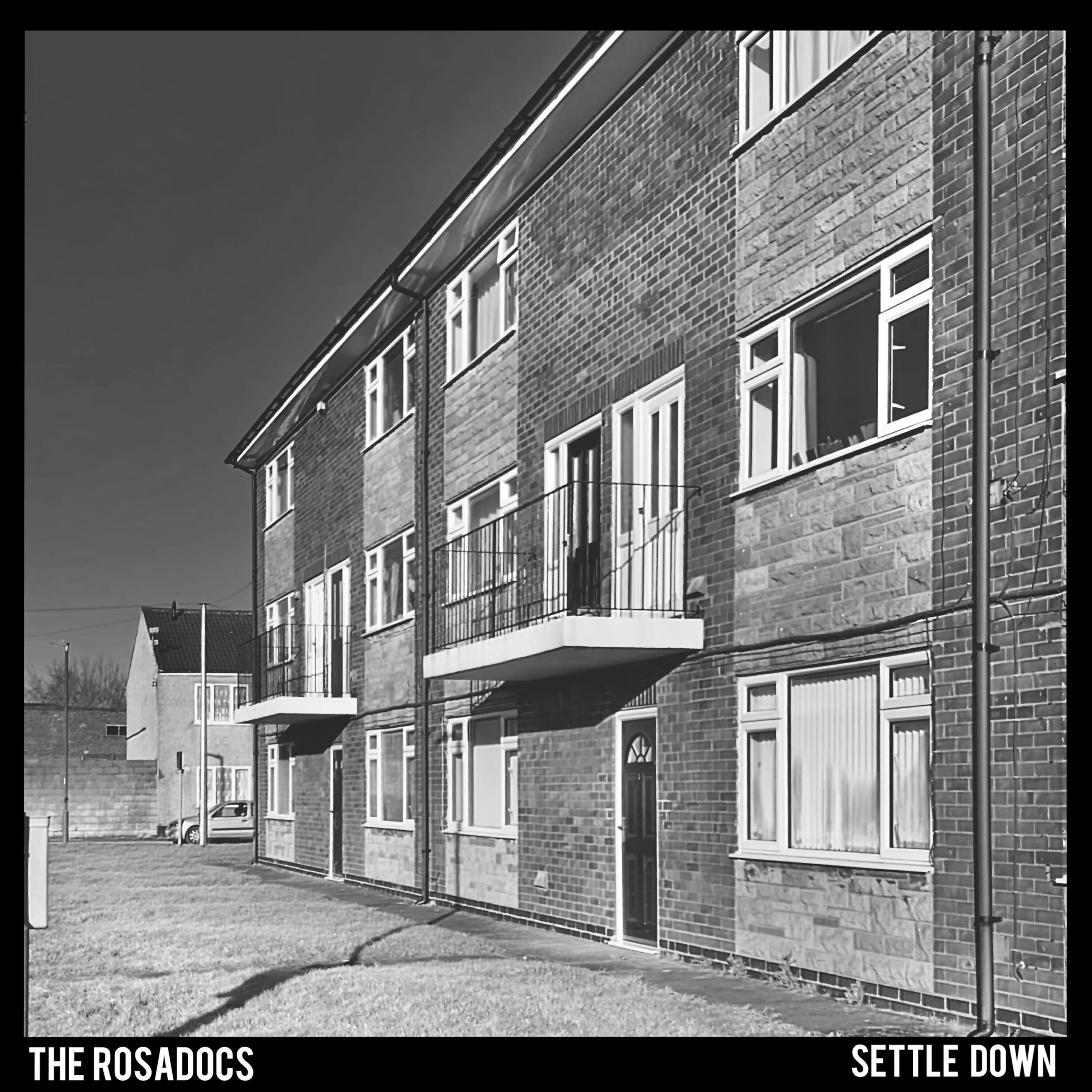 Релиз Settle Down