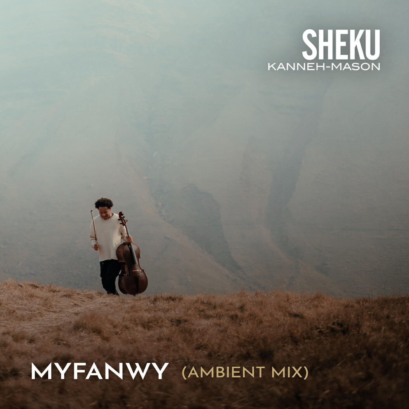 Релиз Myfanwy (Ambient Mix)