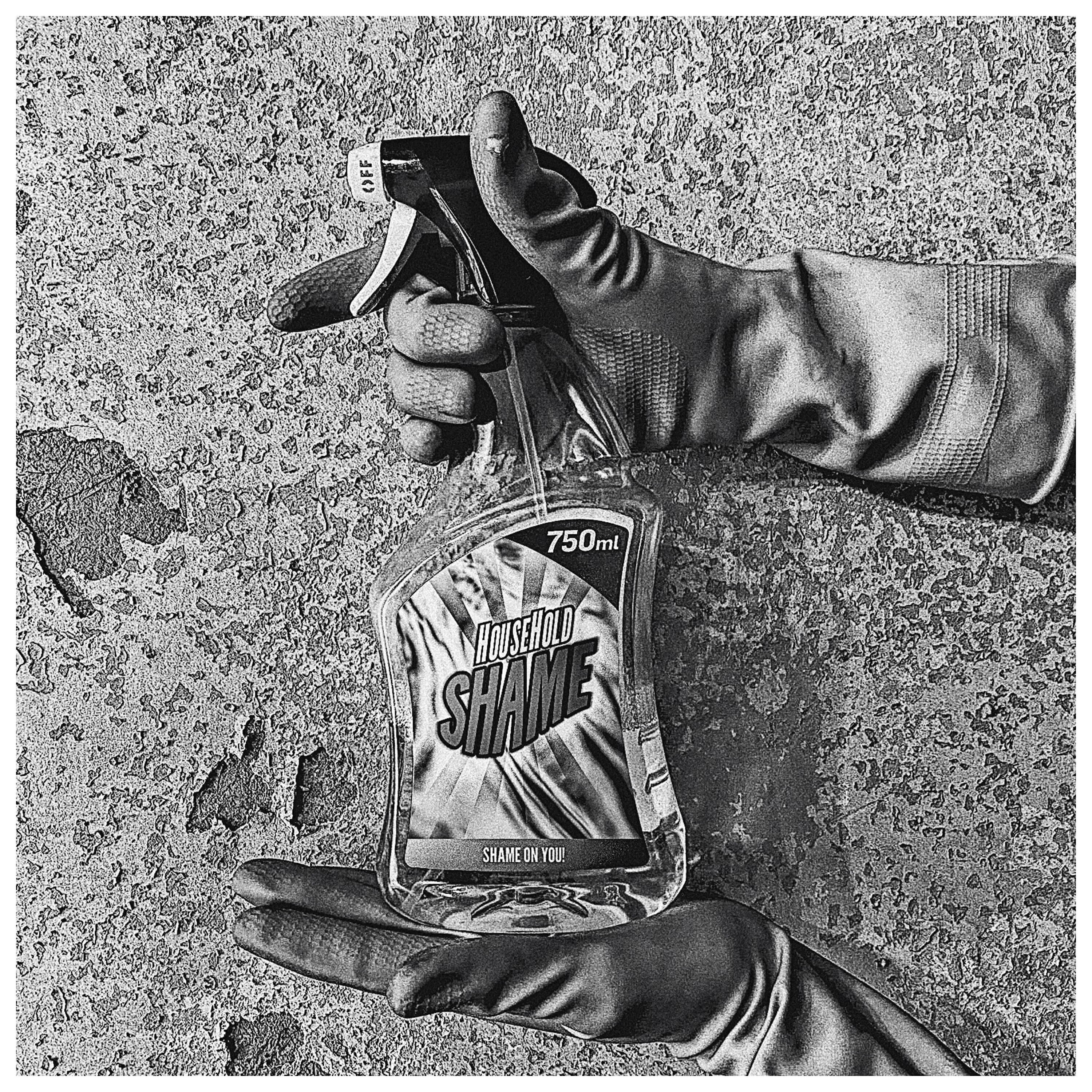 Релиз Household Shame