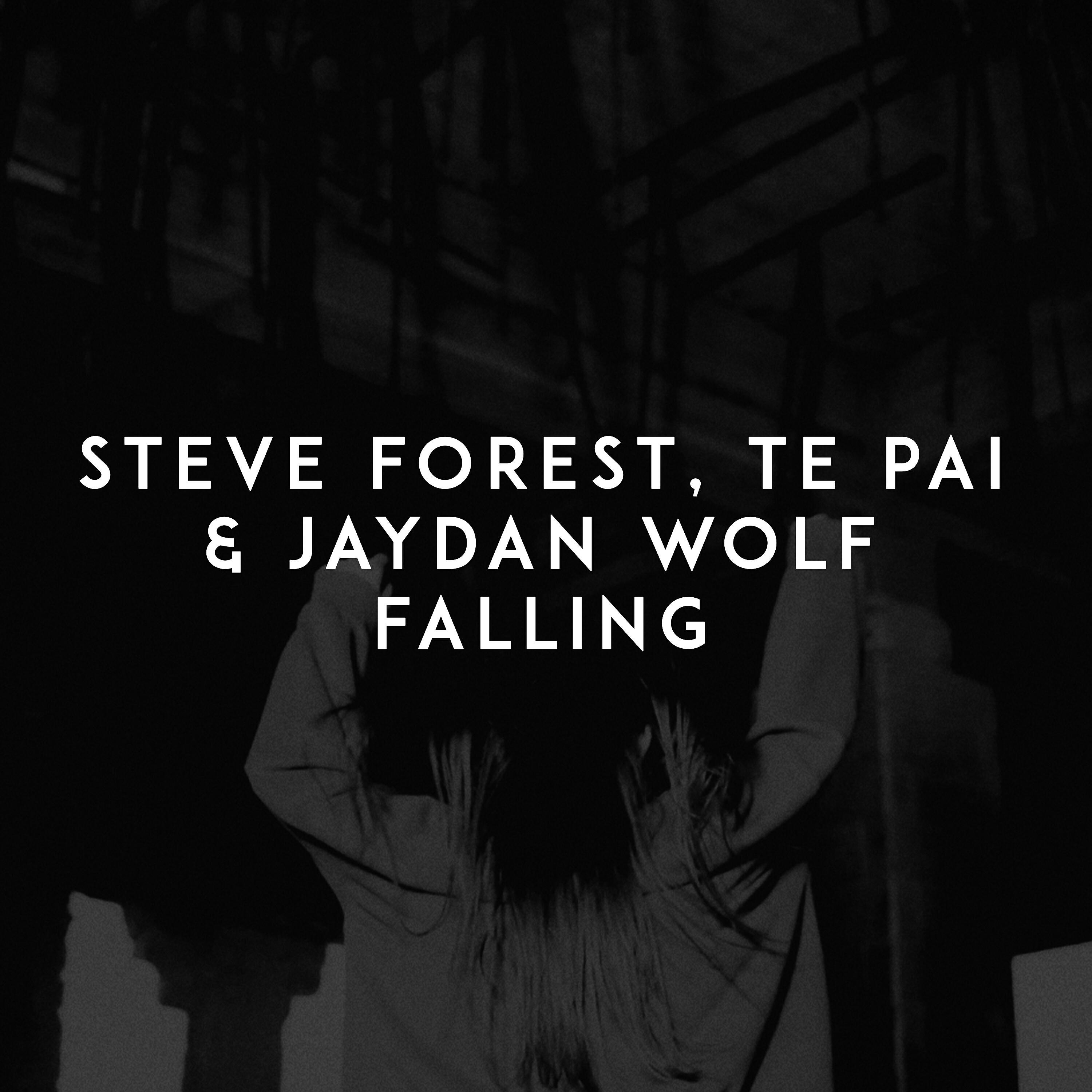 Скачать песню Steve Forest, Te Pai, Jaydan Wolf - Falling бесплатно в MP3 для Android и iOS