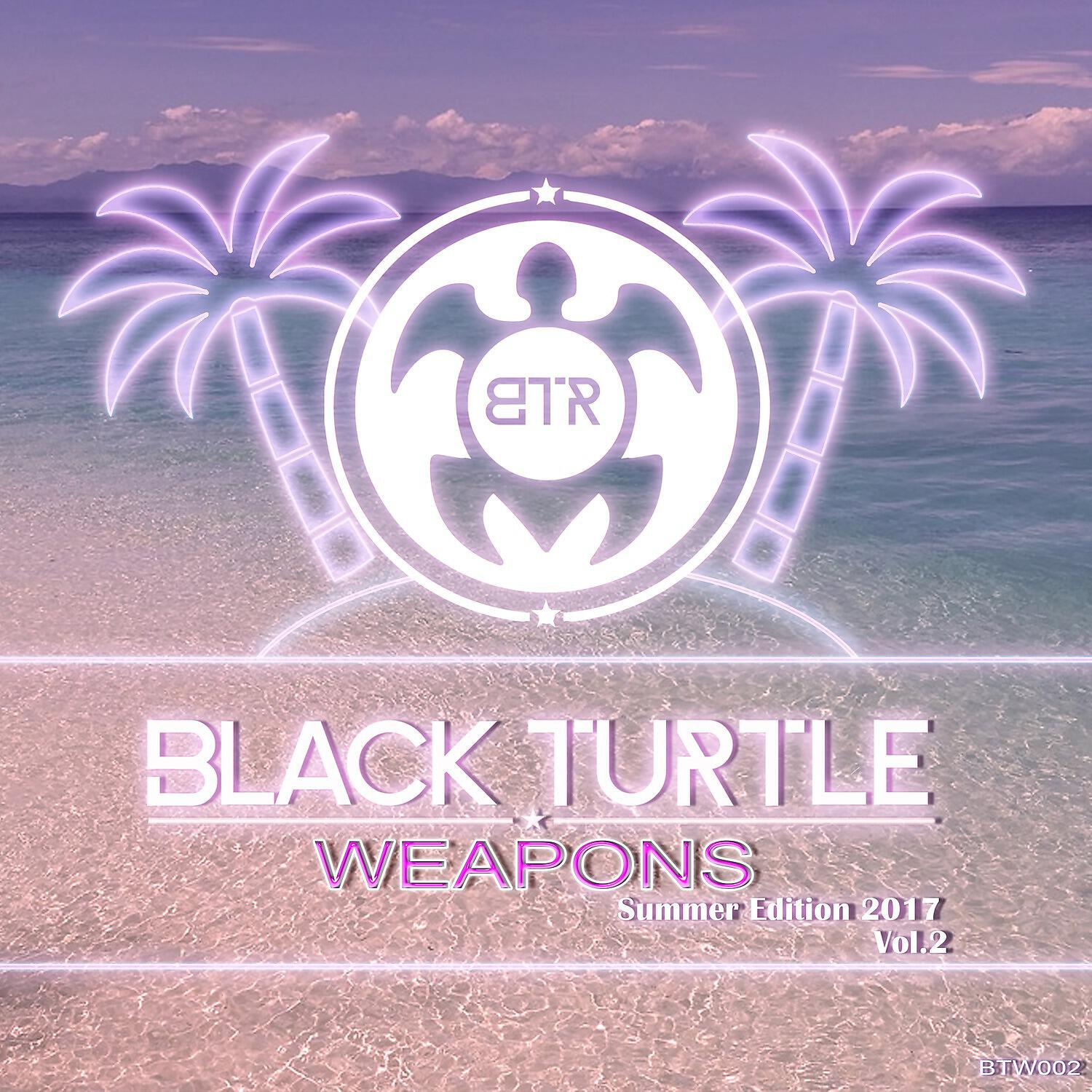 Постер альбома Black Turtle Weapons Summer Edition 2017 Vol.2