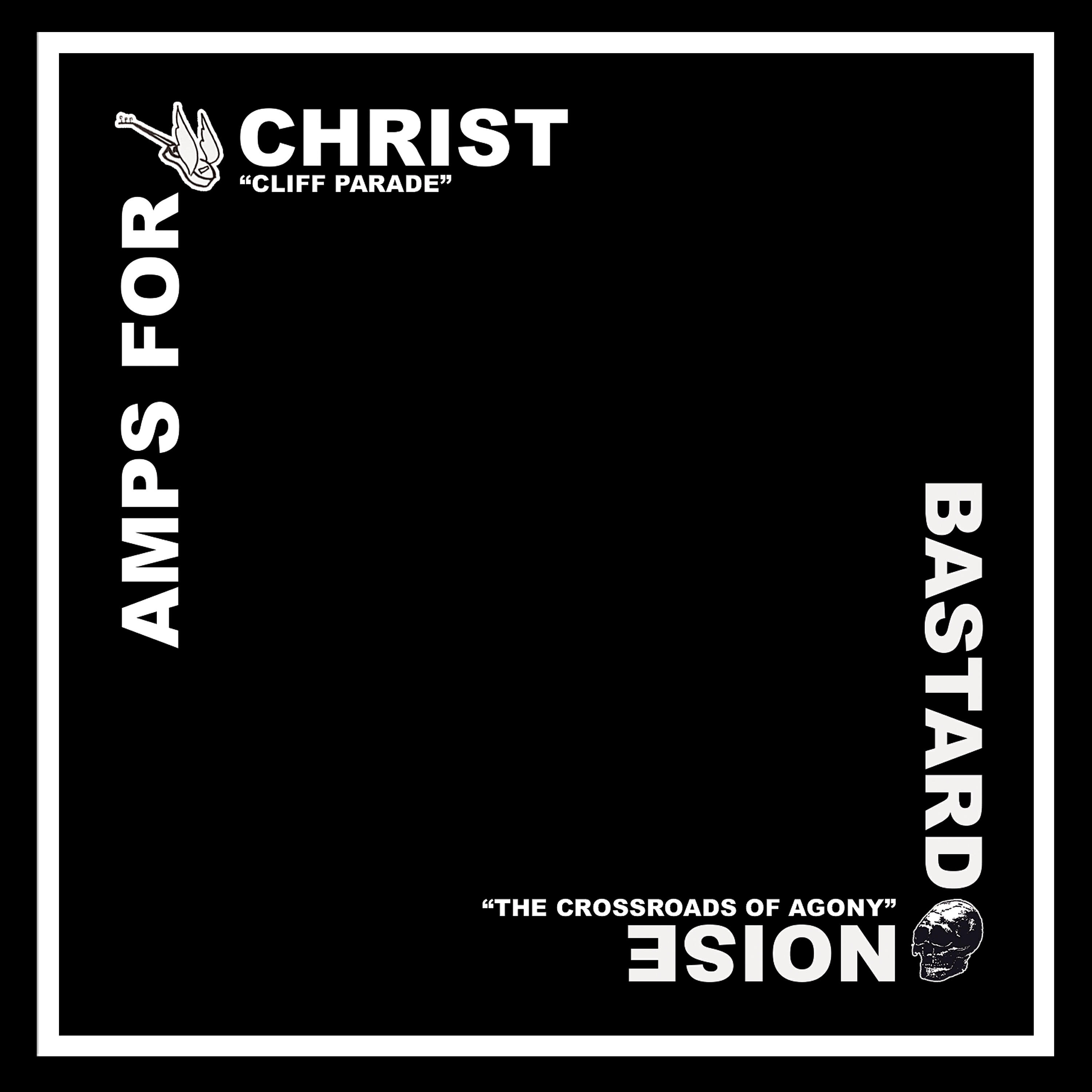 Релиз Amps for Christ / The Bastard Noise - Split