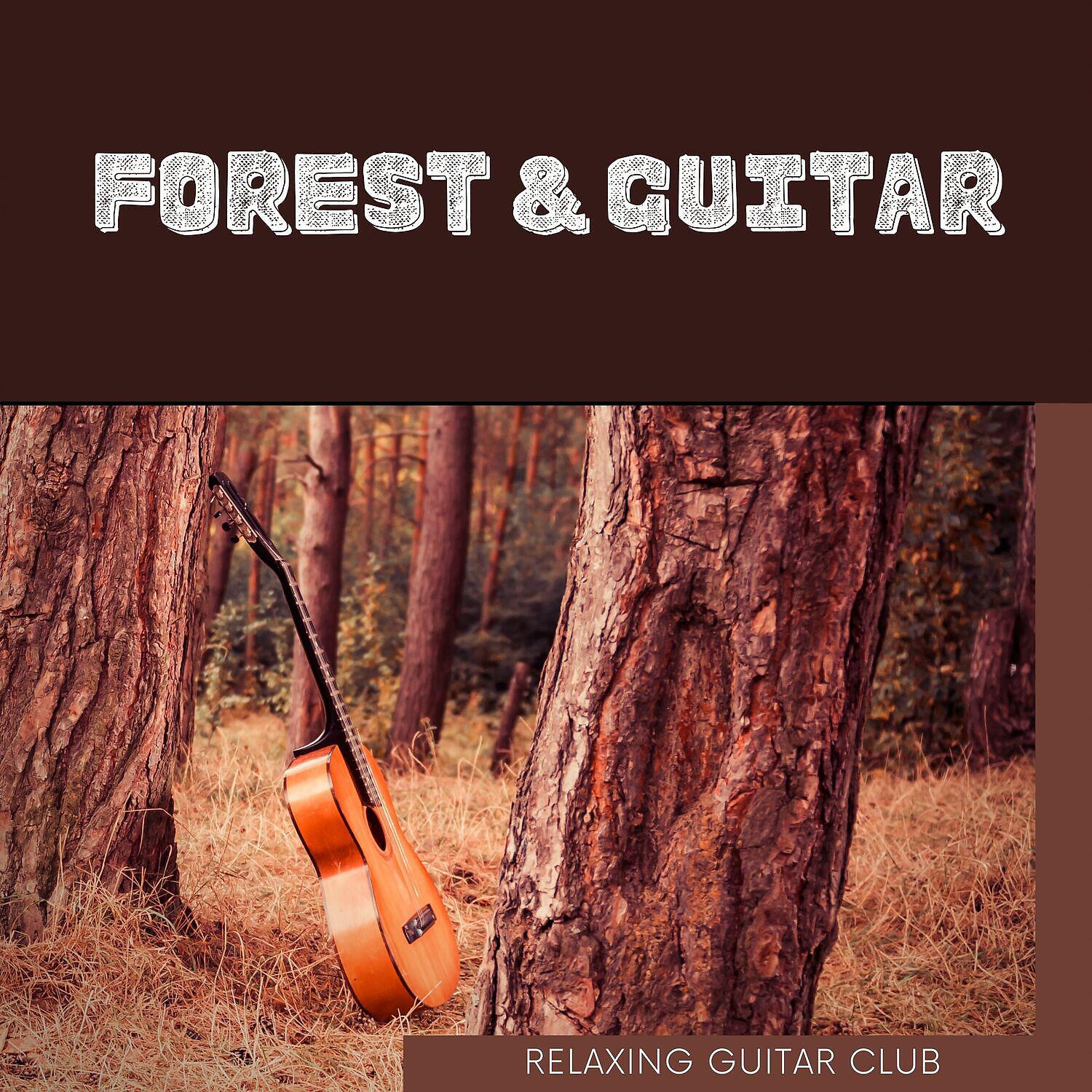 Релиз Massage Therapy Music (Forest & Guitar)