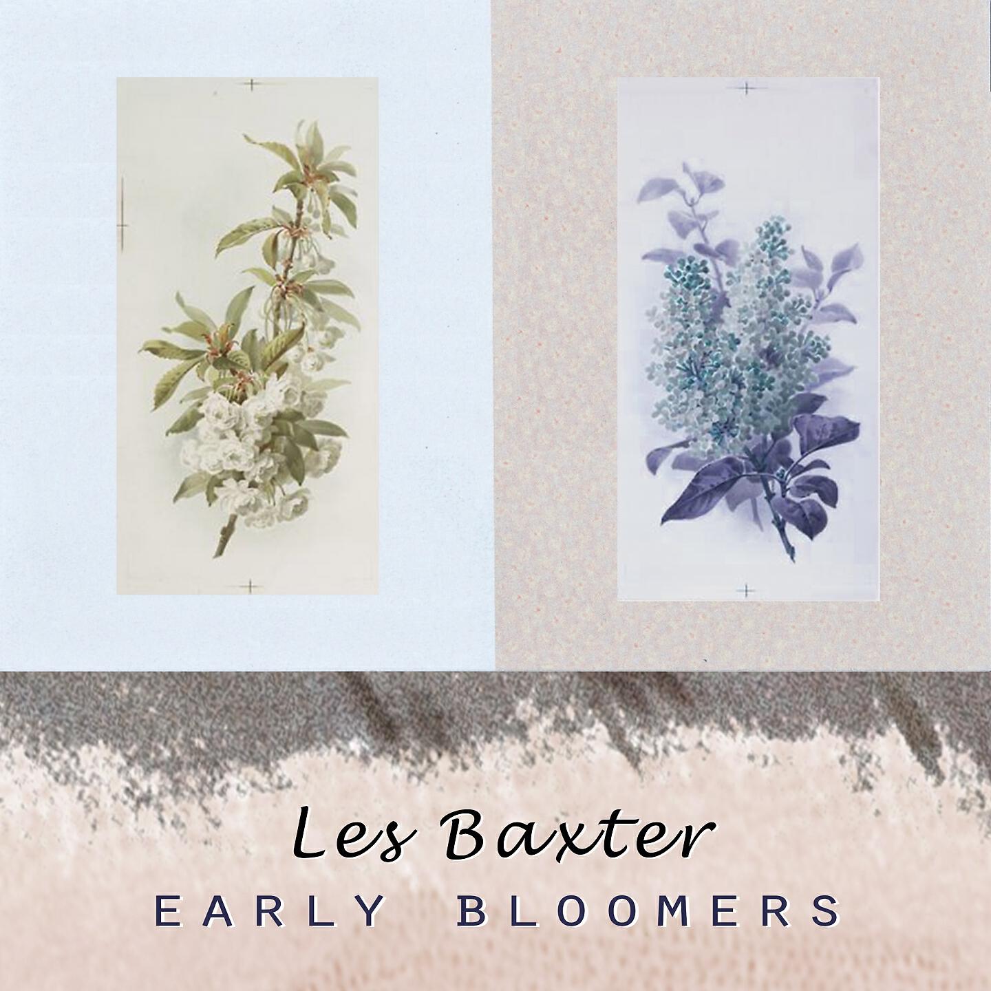 Релиз Early Bloomers