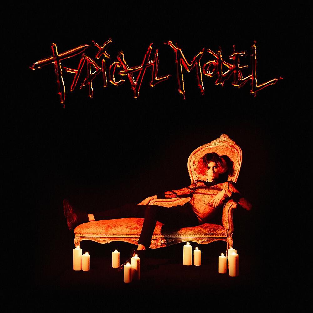 Релиз Typical Model
