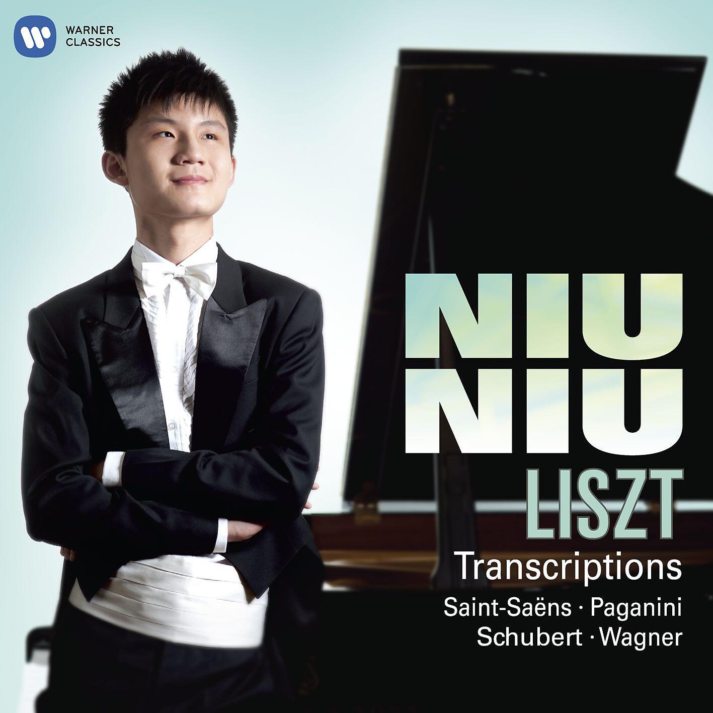 Постер альбома Liszt Transcriptions