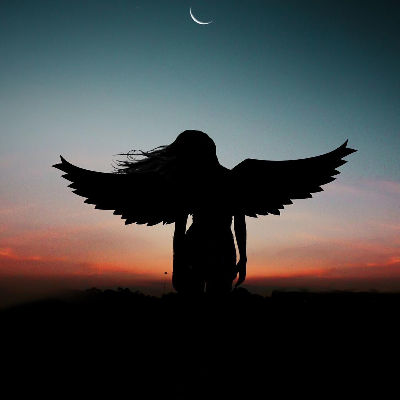 Релиз Soar