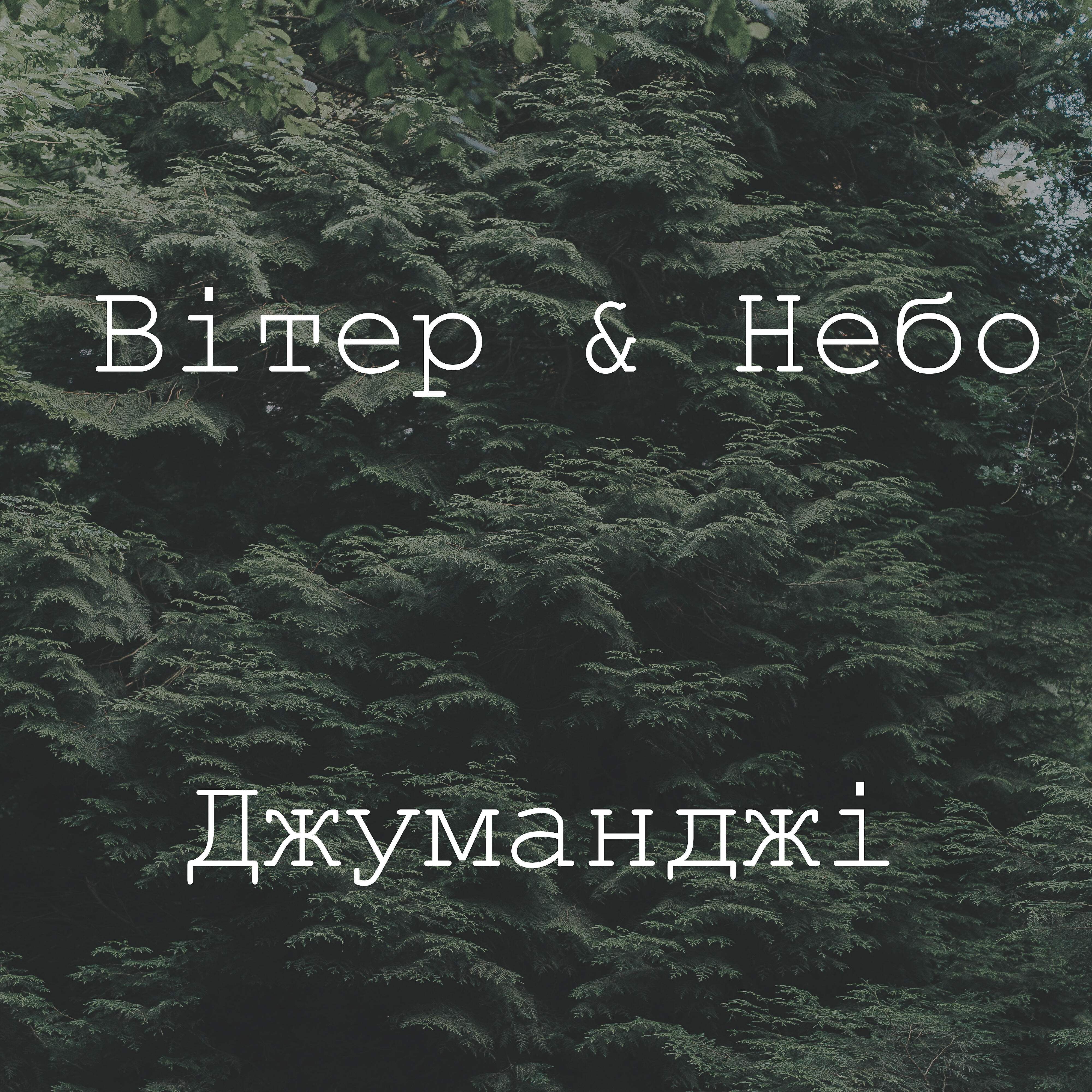 Вітер