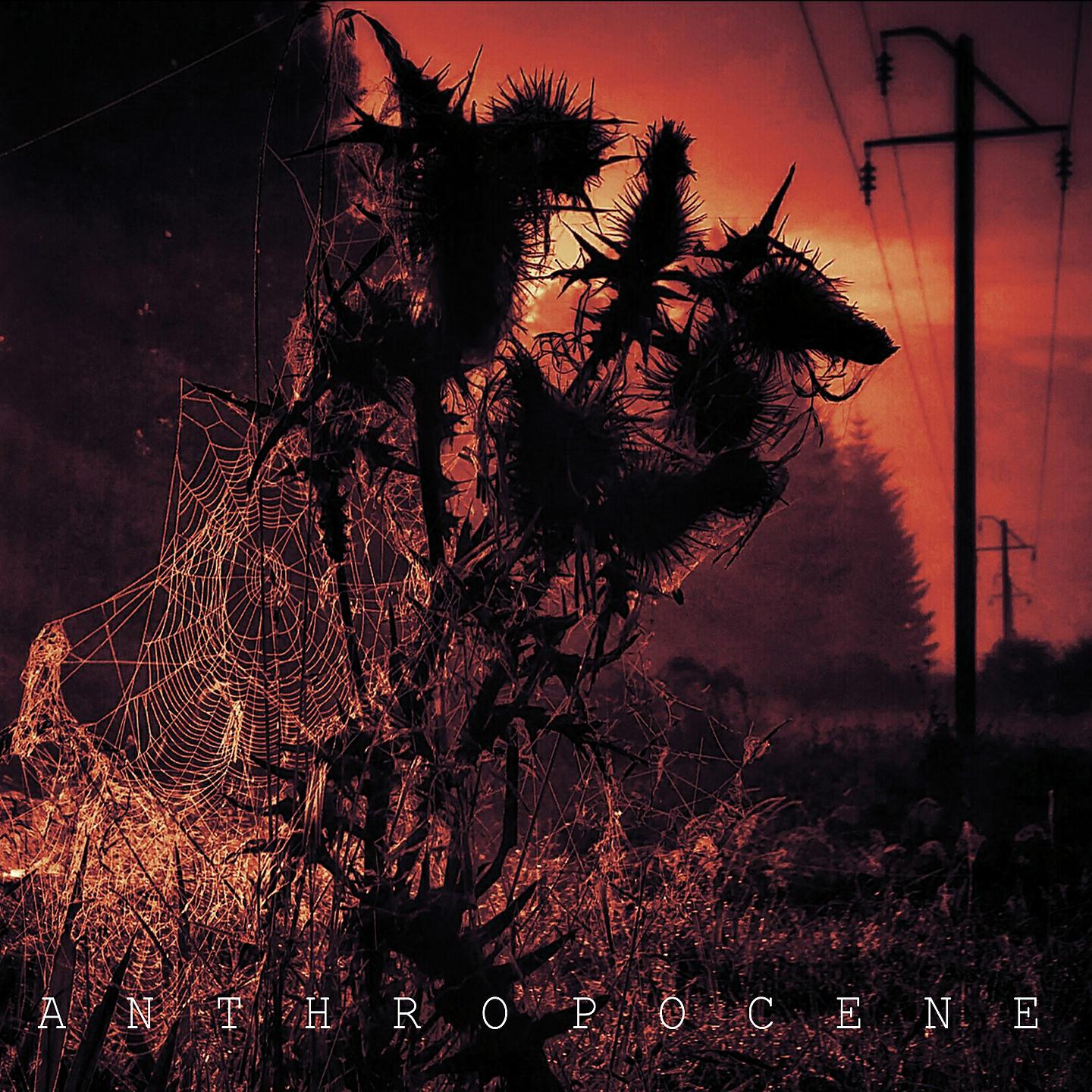 Релиз Anthropocene