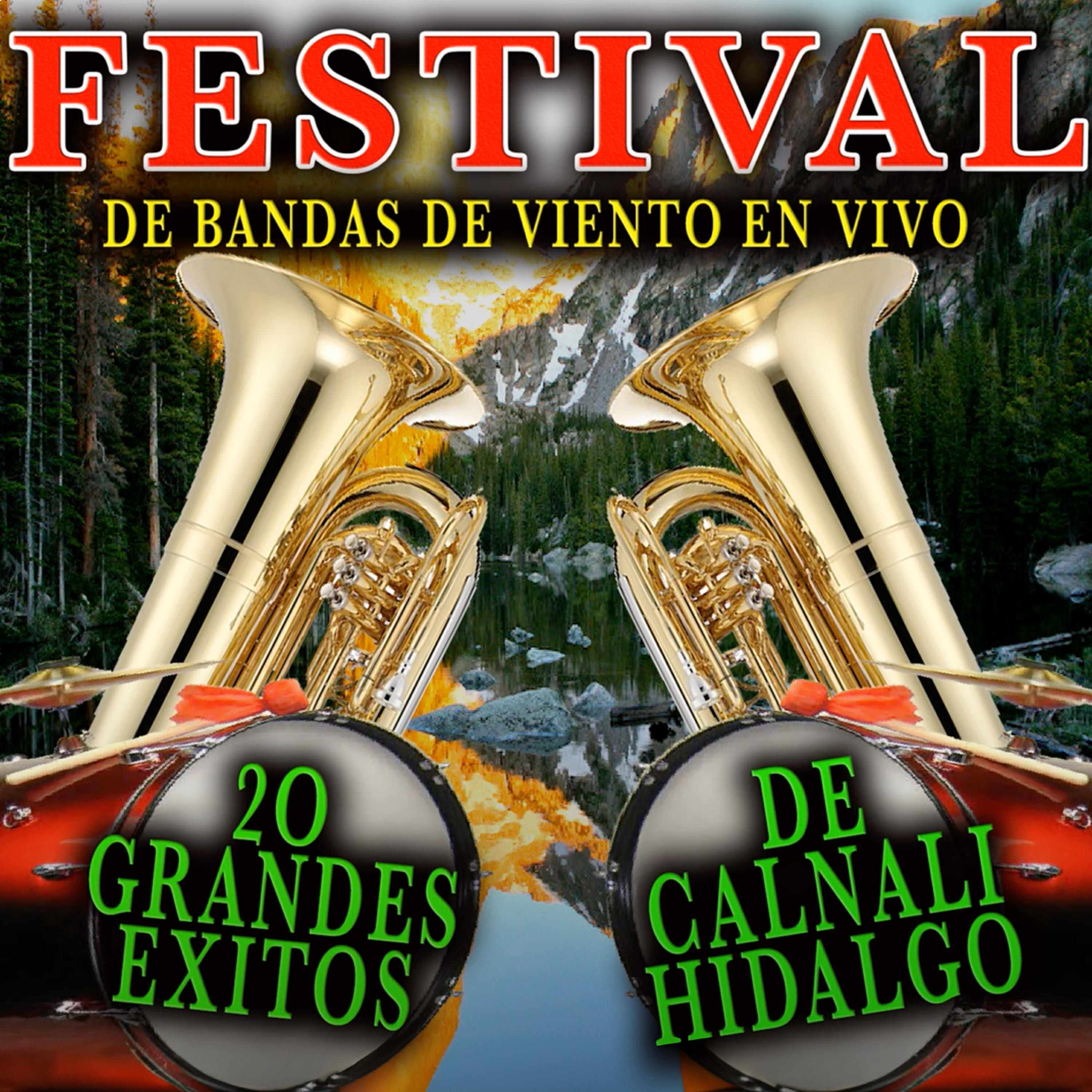Festival De Bandas Calnali