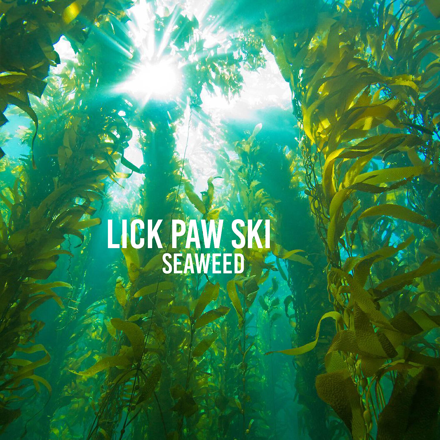 Релиз Seaweed