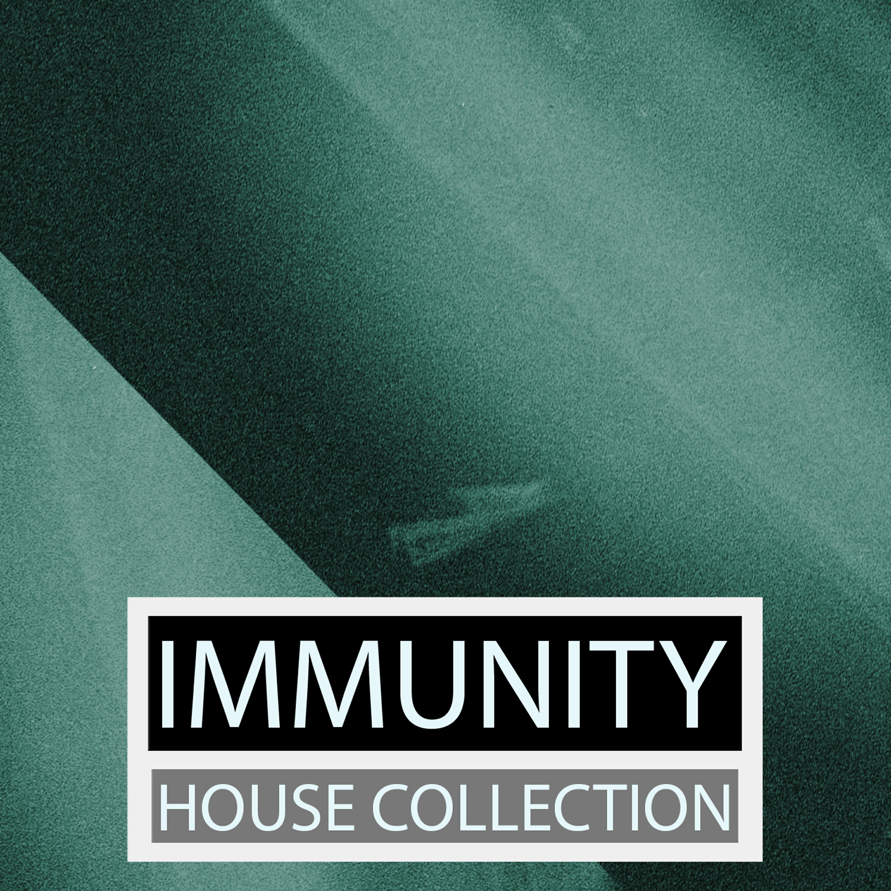 Релиз Immunity