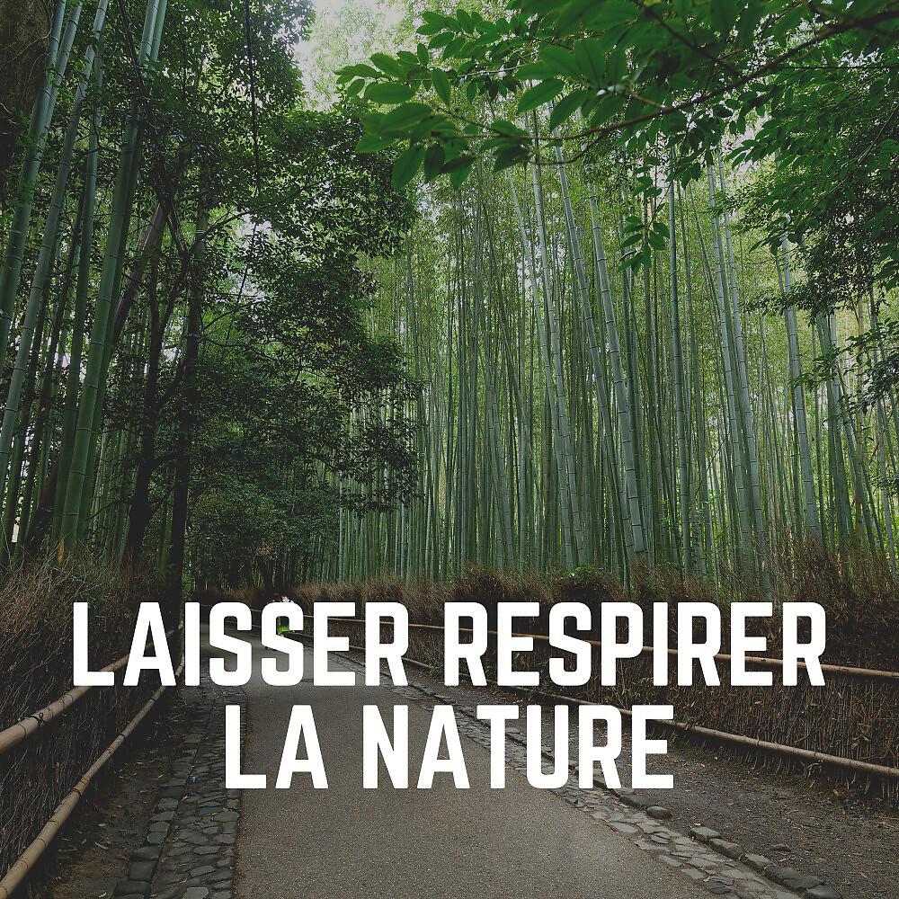 Релиз Laisser Respirer LA Nature