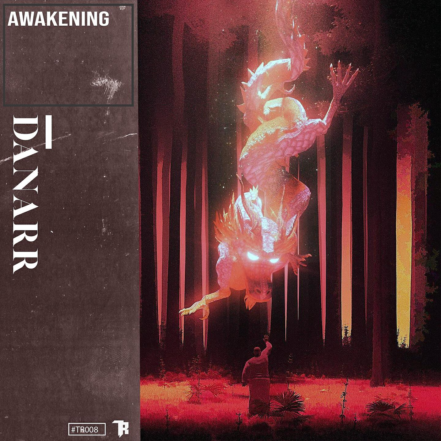 Релиз Awakening