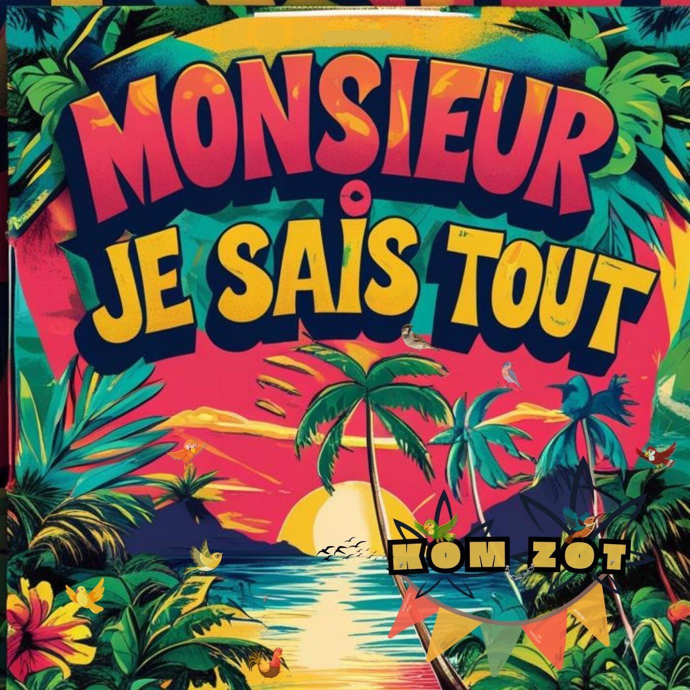 Релиз Monsieur Je Sais Tout