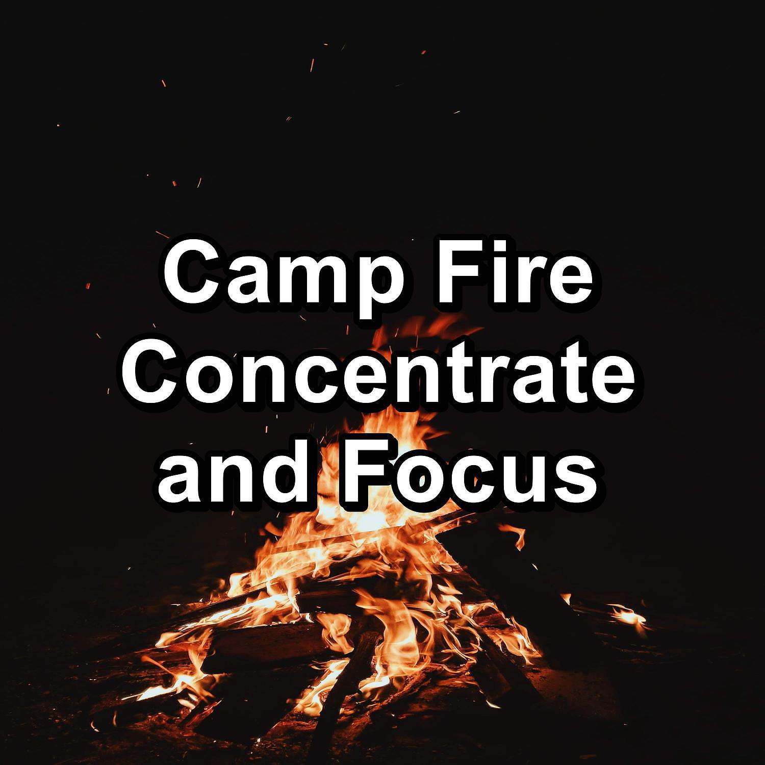 Релиз Camp Fire Concentrate and Focus