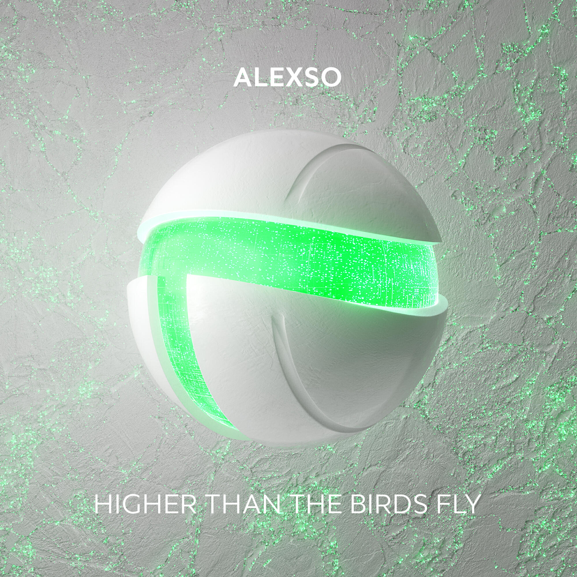 Релиз Higher Than The Birds Fly