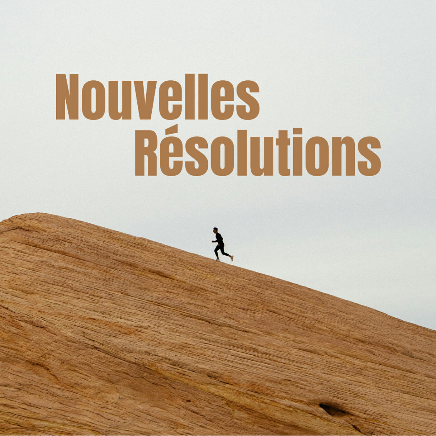Релиз Nouvelles Résolutions